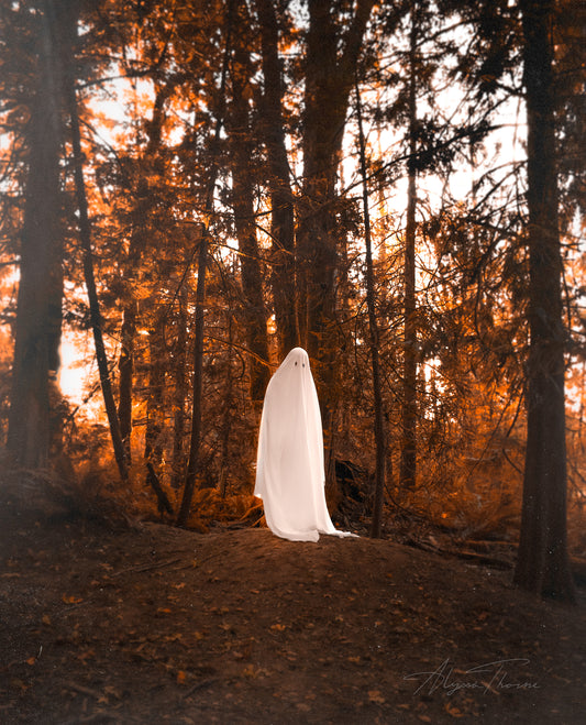 THE GHOST OF YOU | HEIRLOOM FINE ART PRINTS