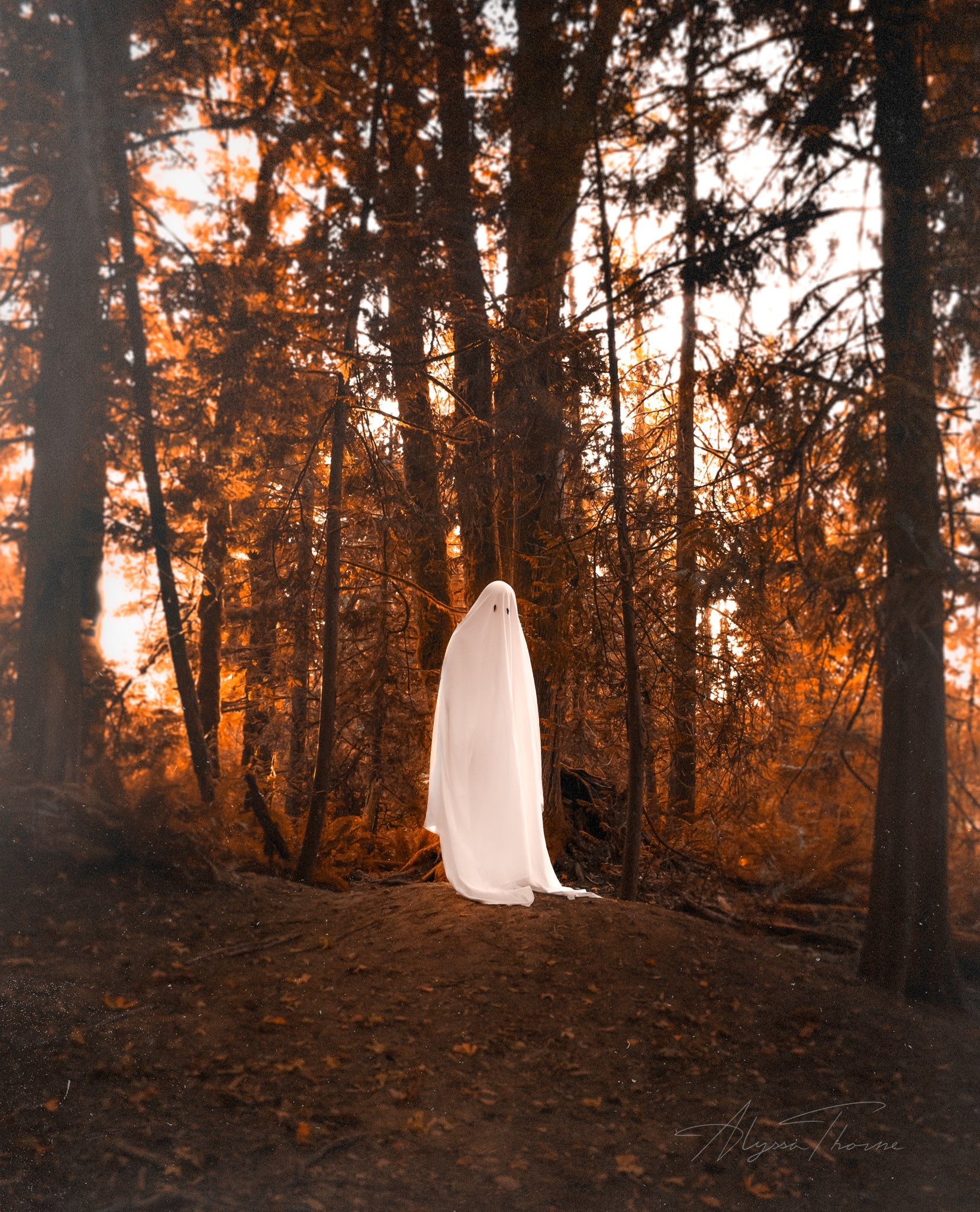 The Ghost Of You - Fine Art Prints
