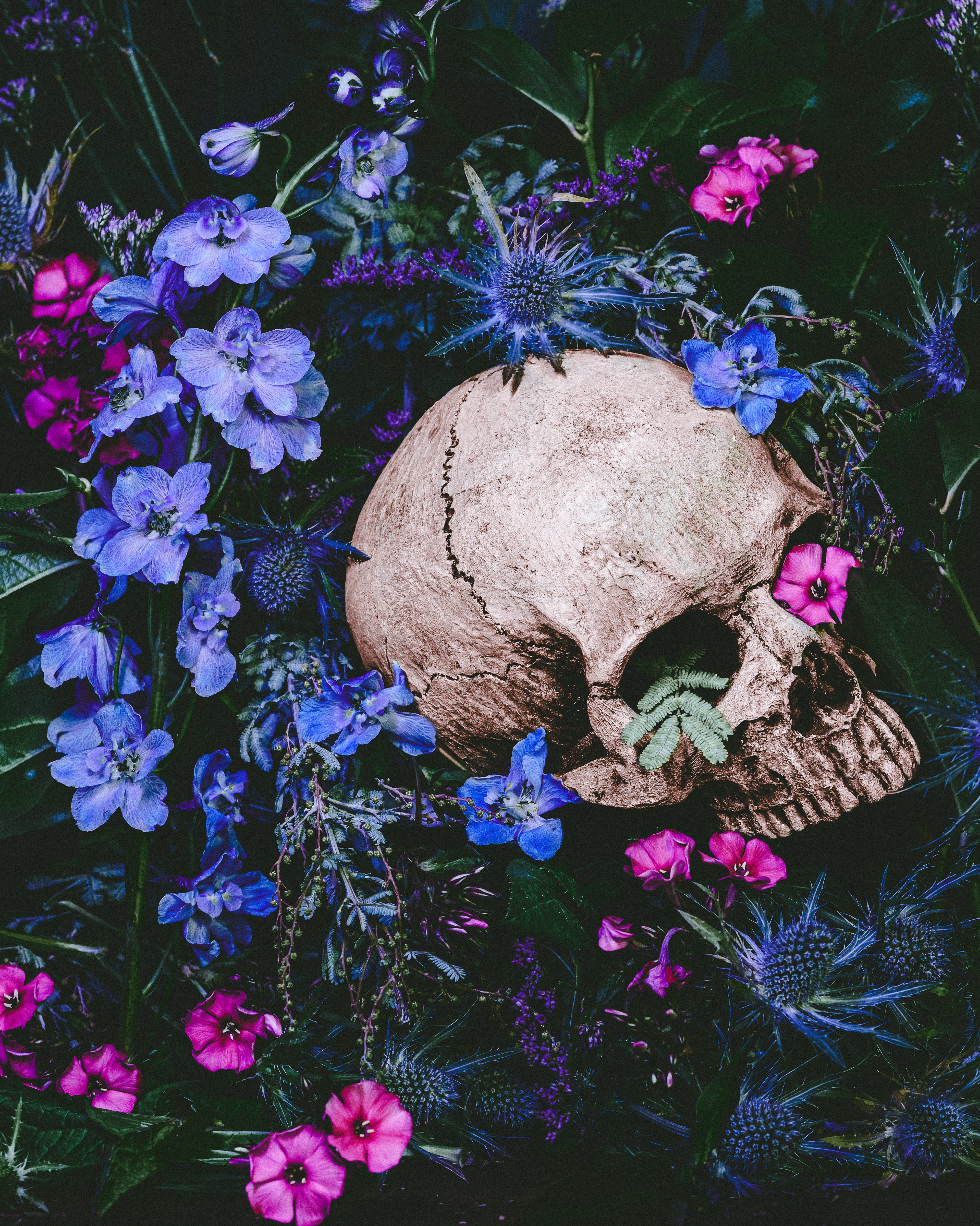 Ecstasia | Art Prints