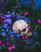 Ecstasia - Fine Art Prints