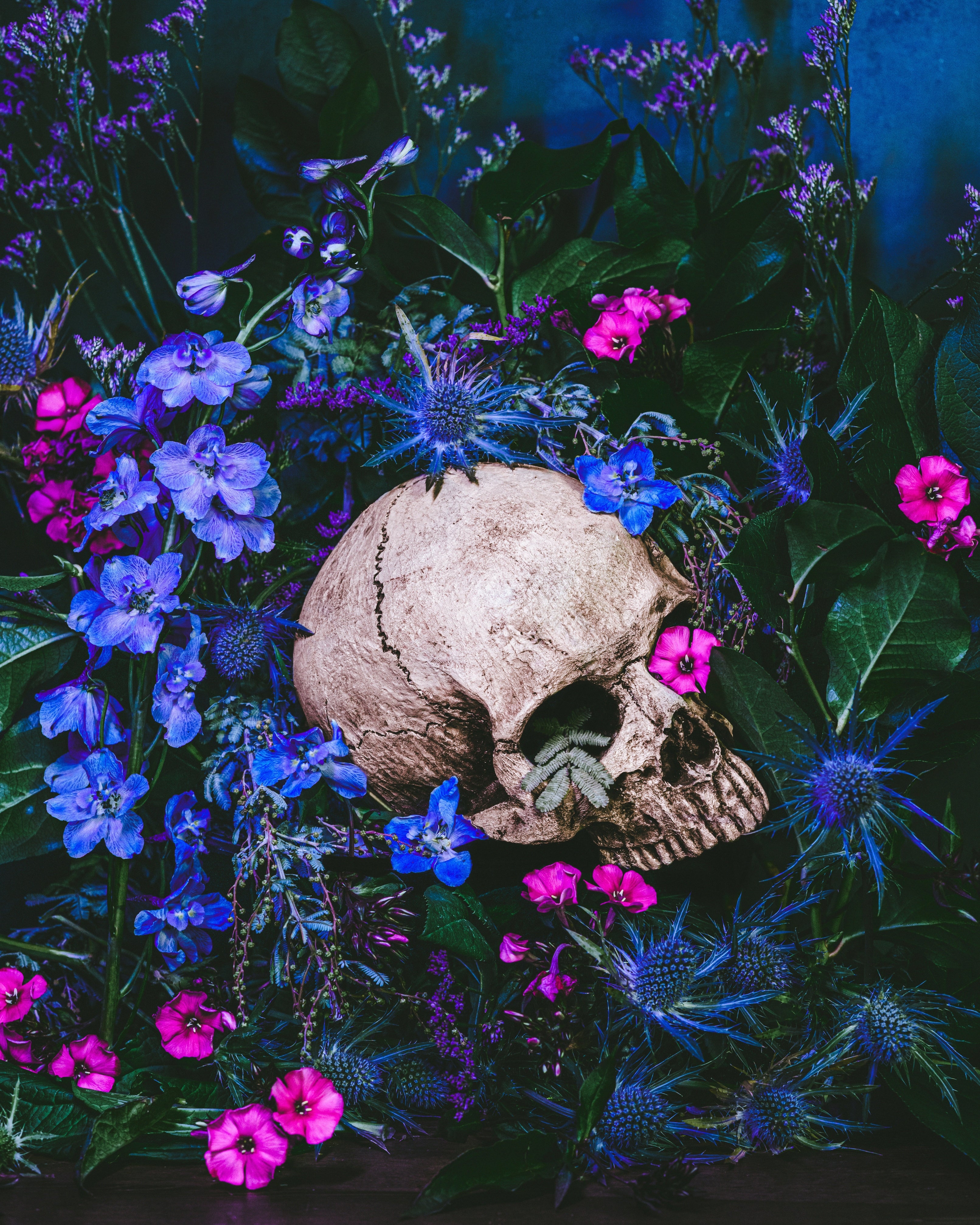 Ecstasia - Fine Art Prints