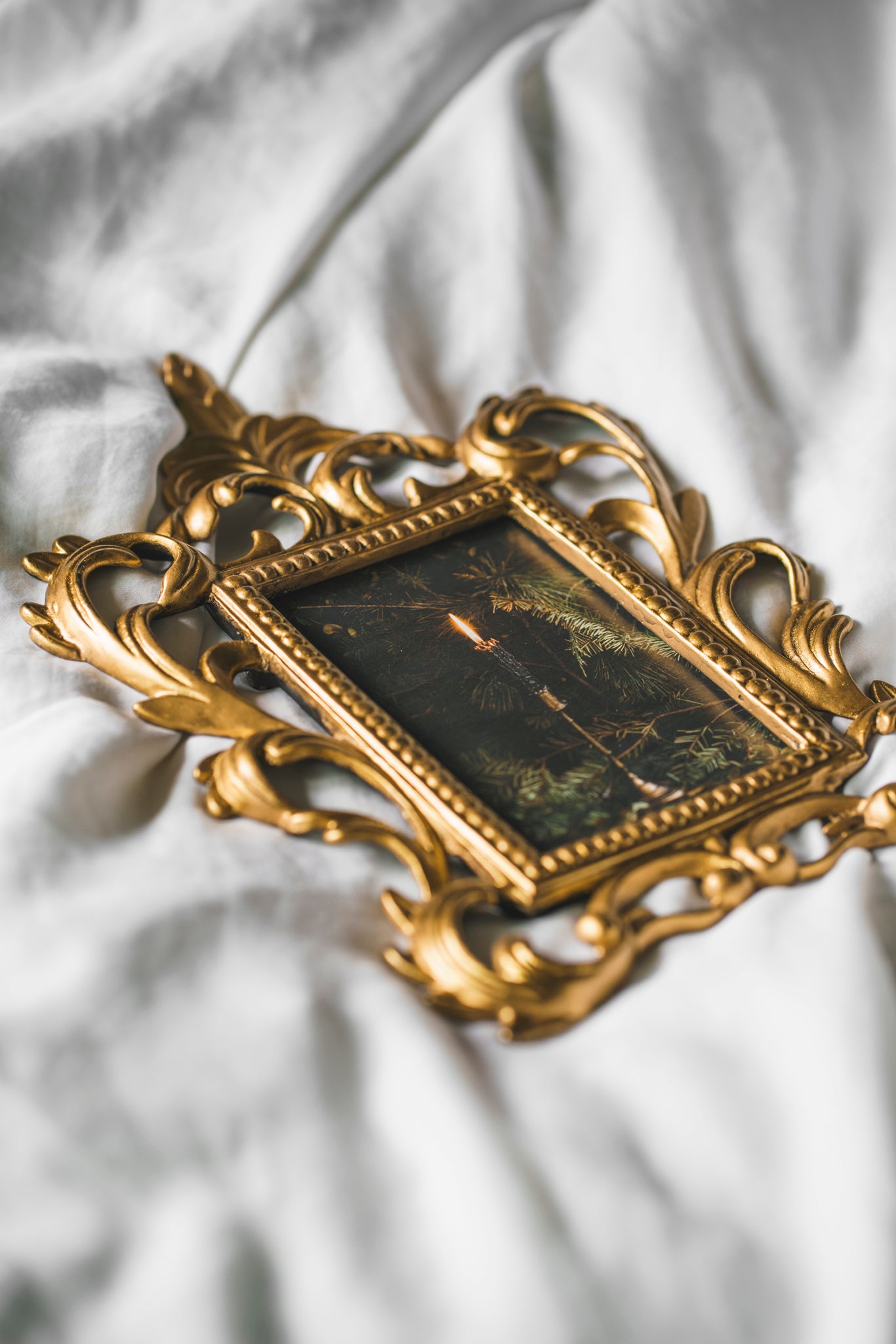 A Gilded Year - Antique Cast Iron Frame 1/1