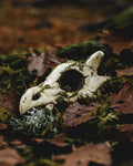 Lonely | Art Print PRE-ORDER