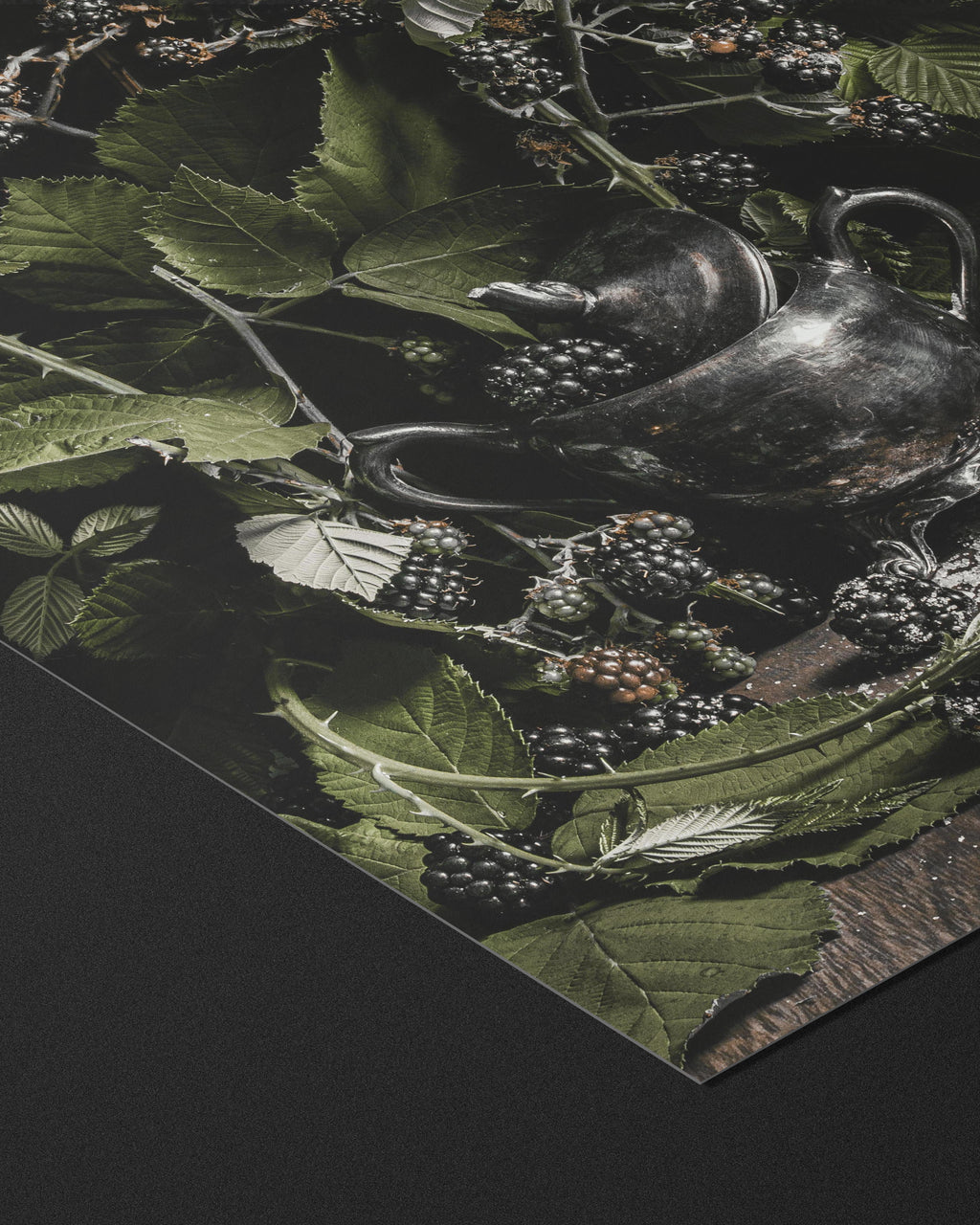 Blackwood - Fine Art Prints