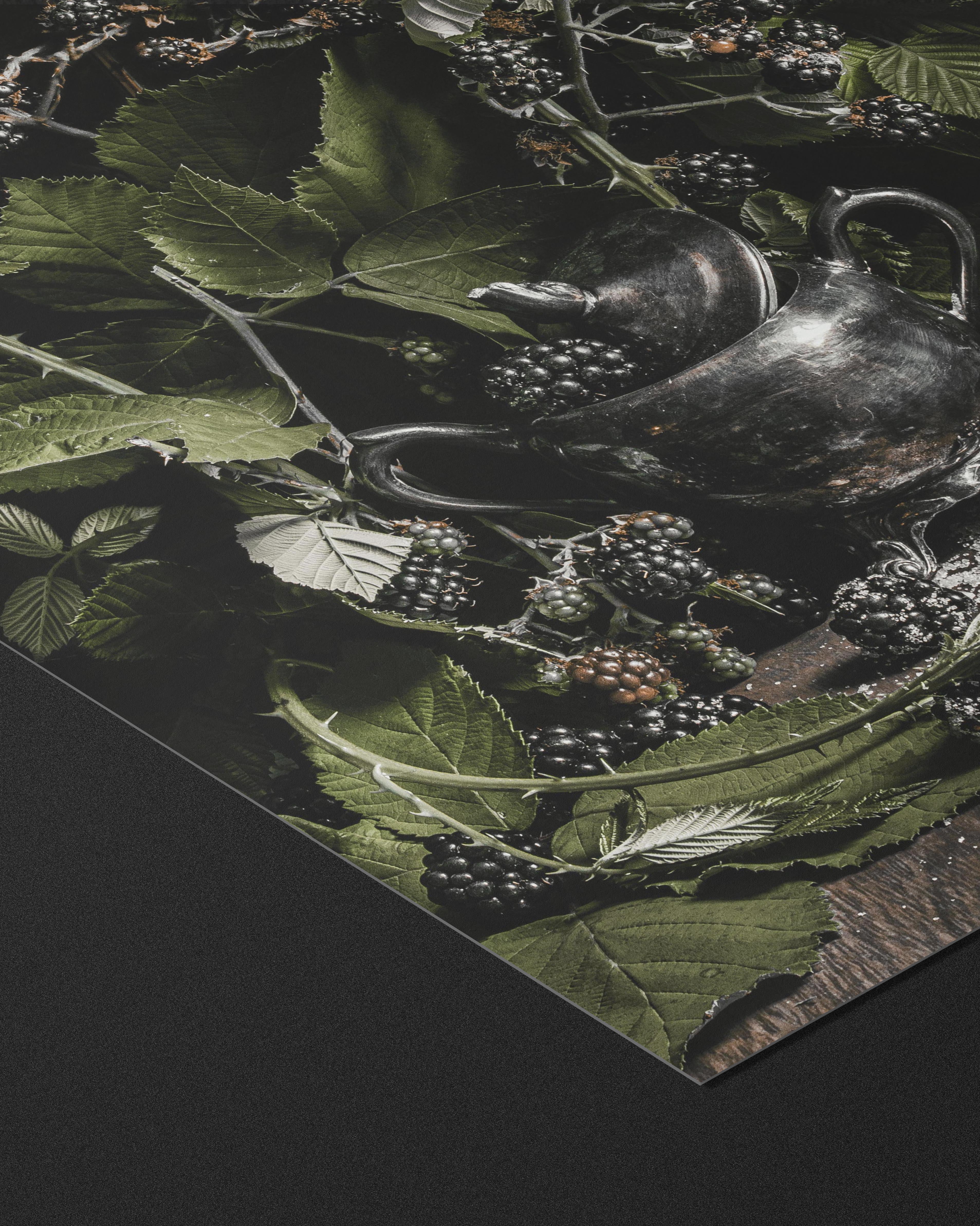 Blackwood - Fine Art Prints
