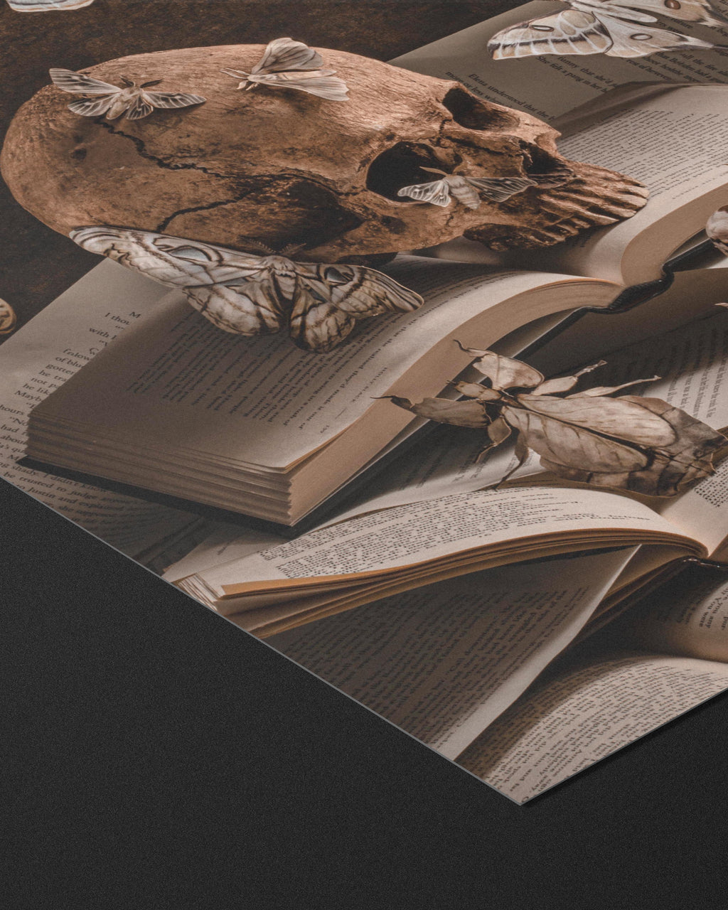 Bury Me In The Library - Fine Art Prints