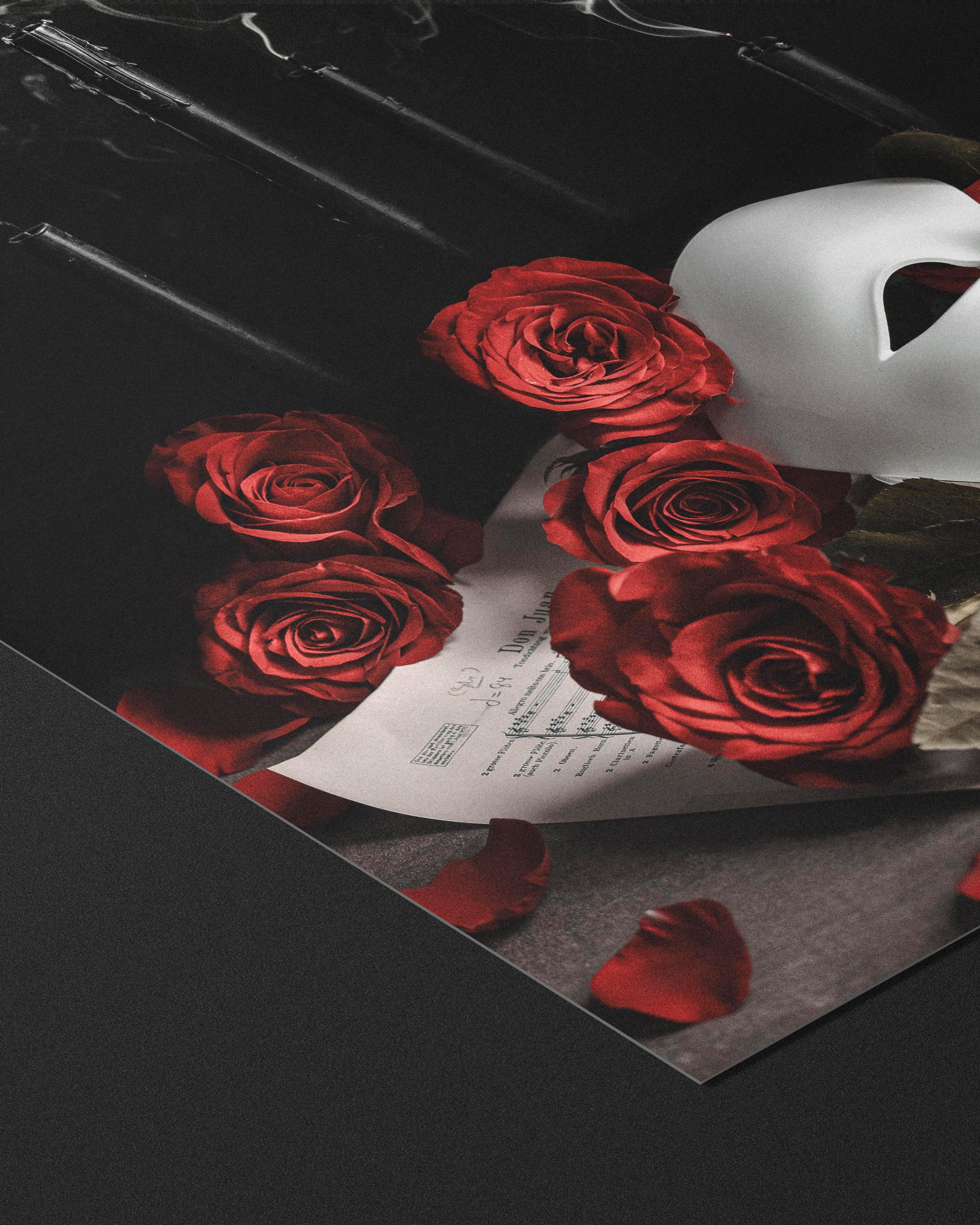 Music Of The Night - Fine Art Prints