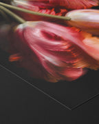SHIMMER - FINE ART PRINTS