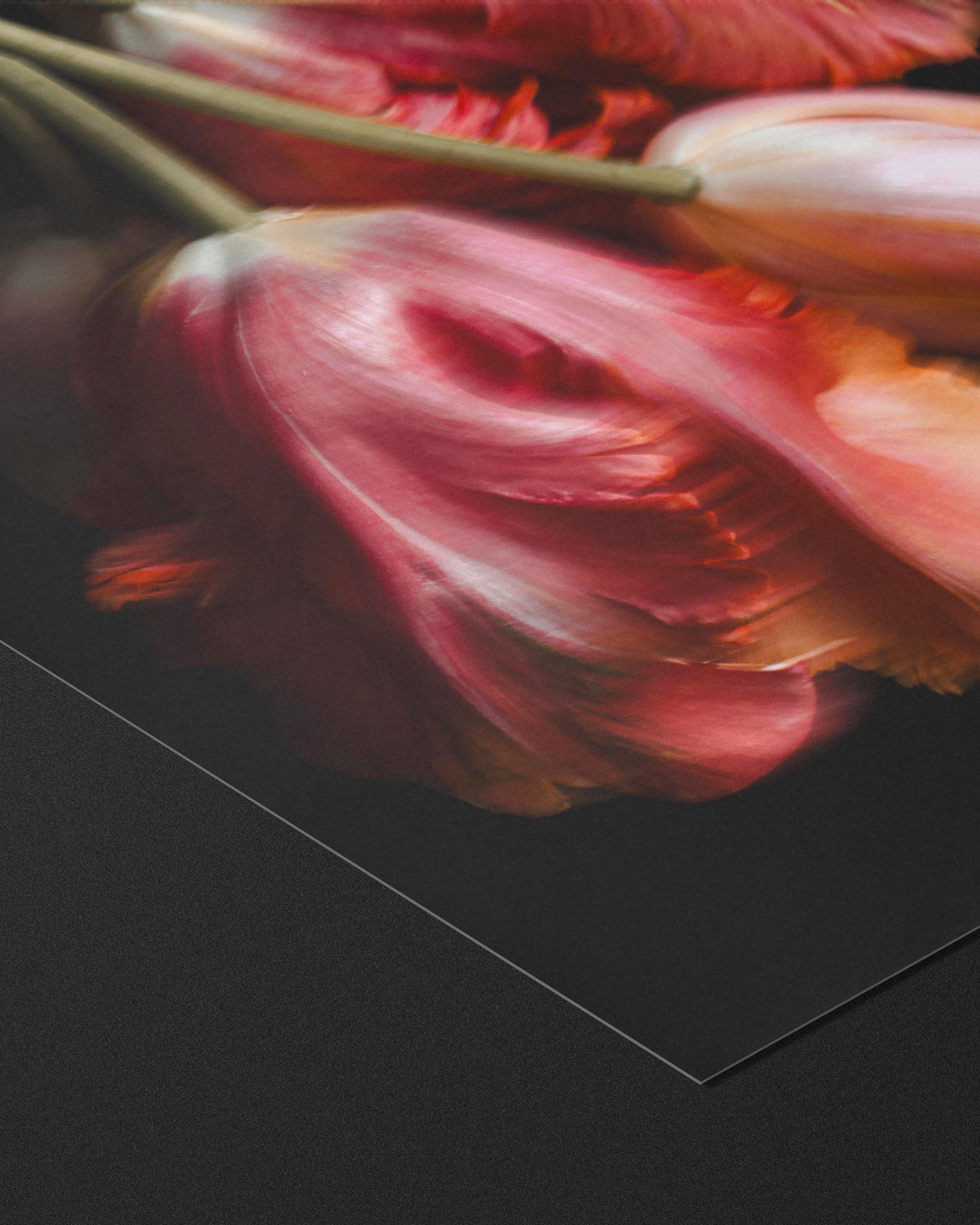 SHIMMER - FINE ART PRINTS