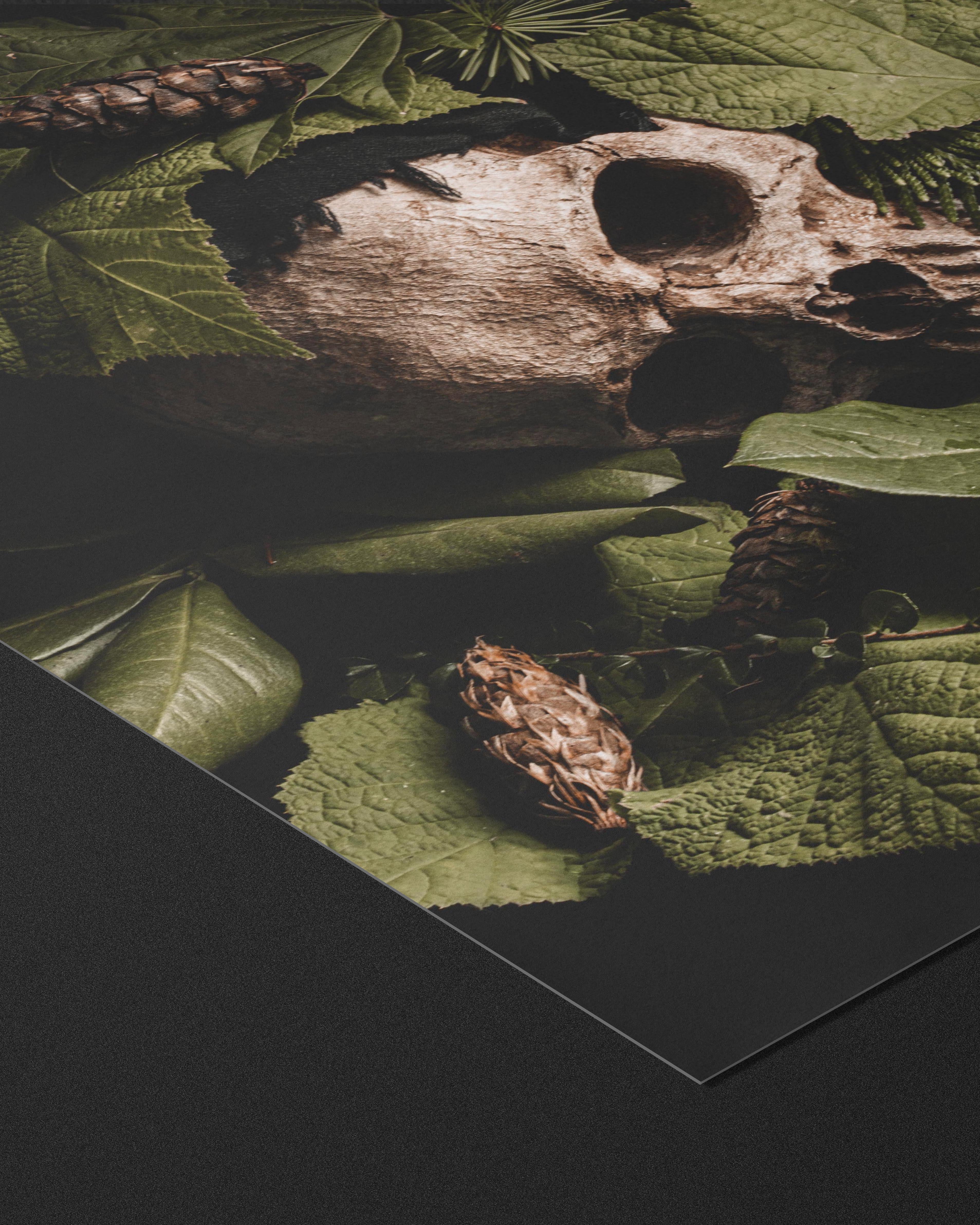 Verdant Repose - Fine Art Prints