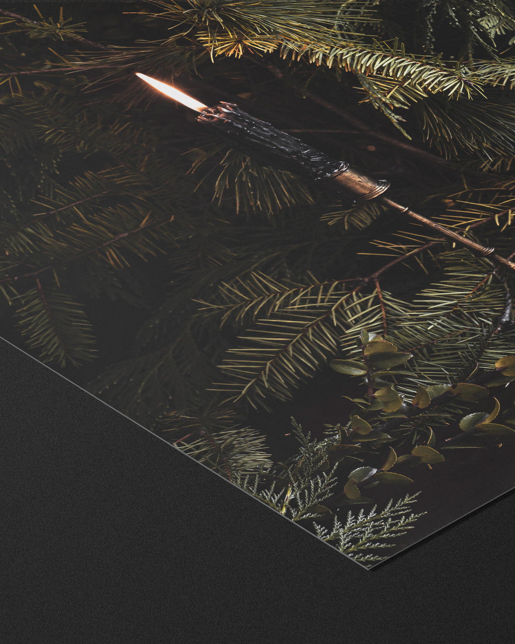 THE LONGEST YEAR - FINE ART PRINTS