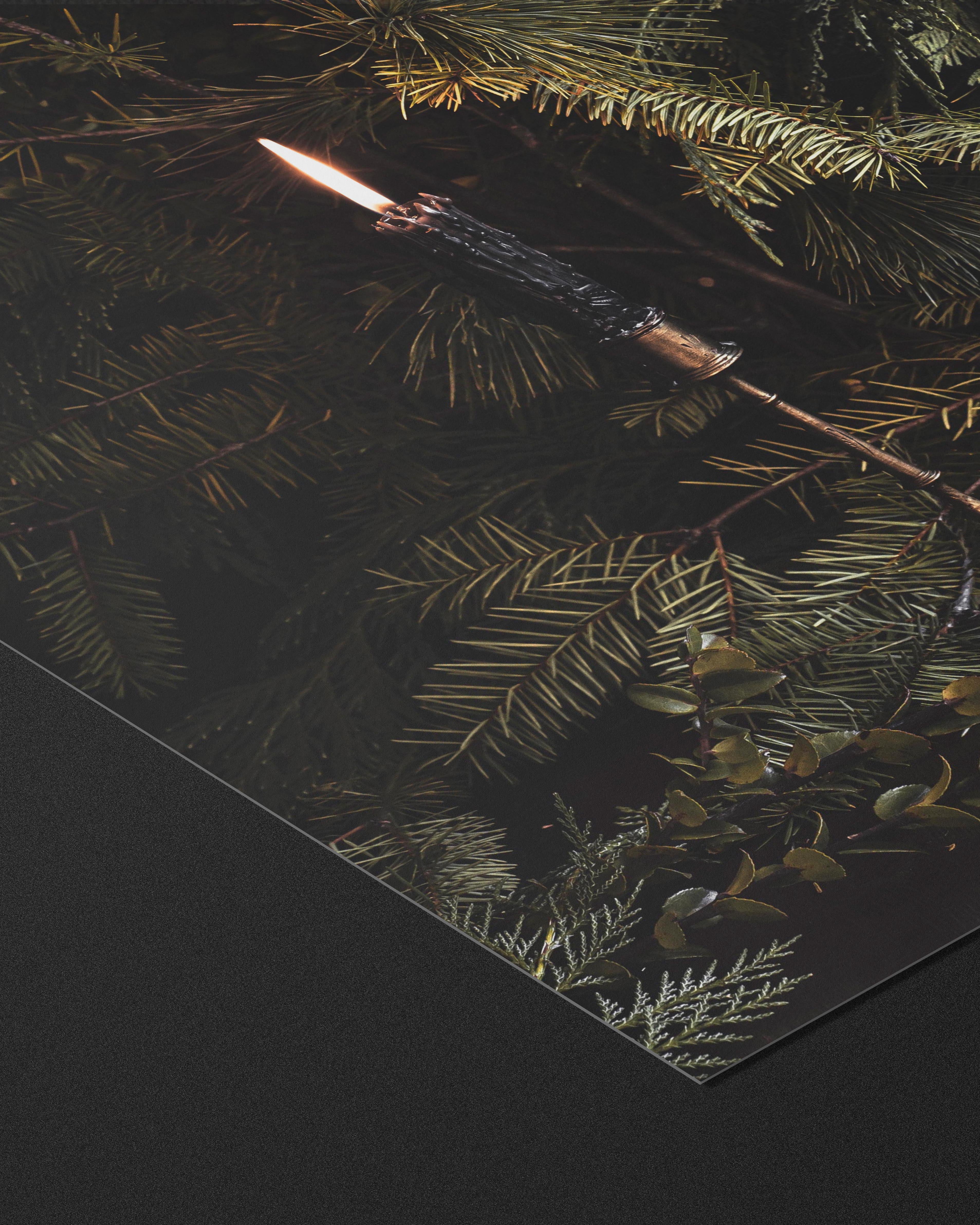 THE LONGEST YEAR - FINE ART PRINTS