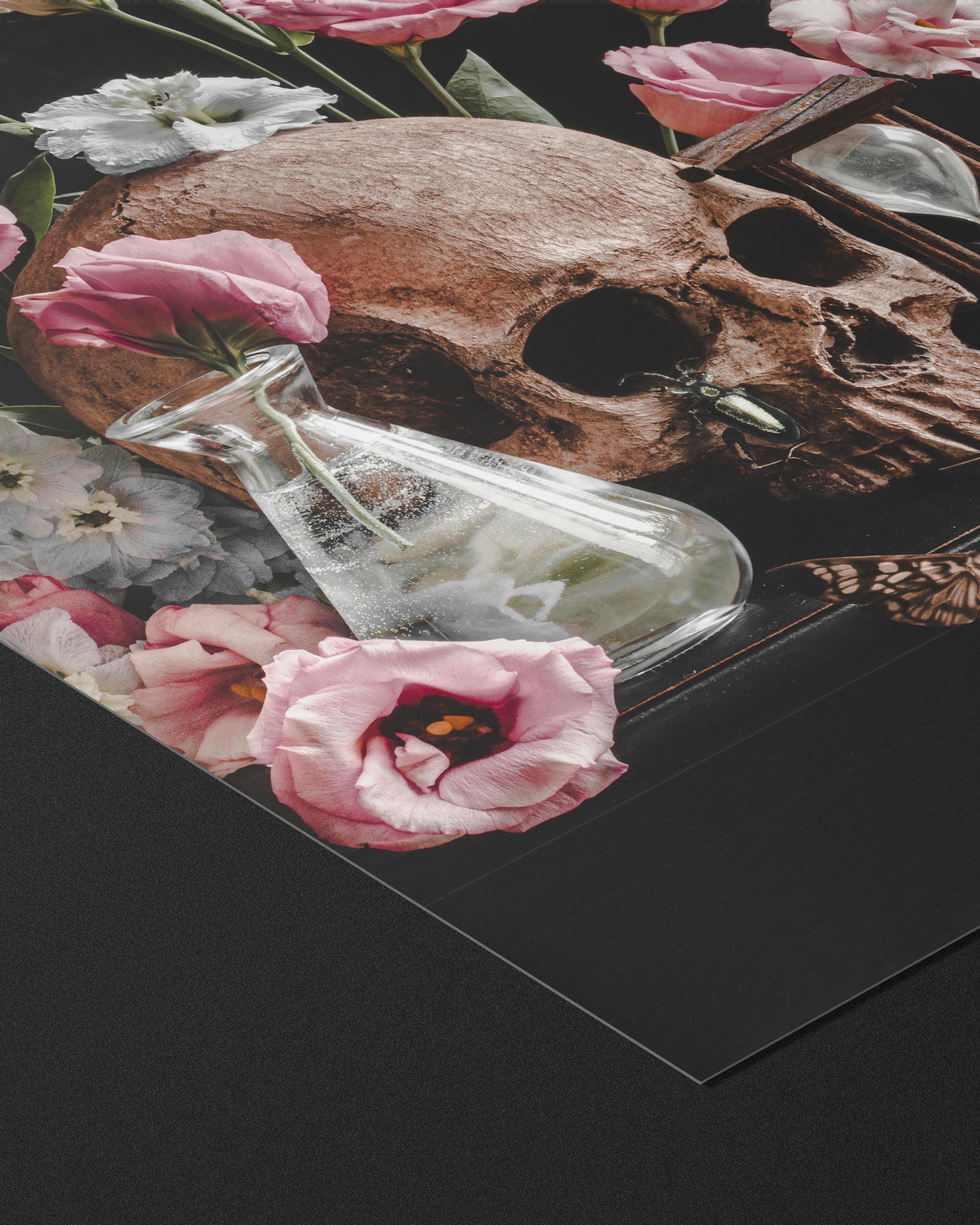 Vanitas I - Fine Art Prints