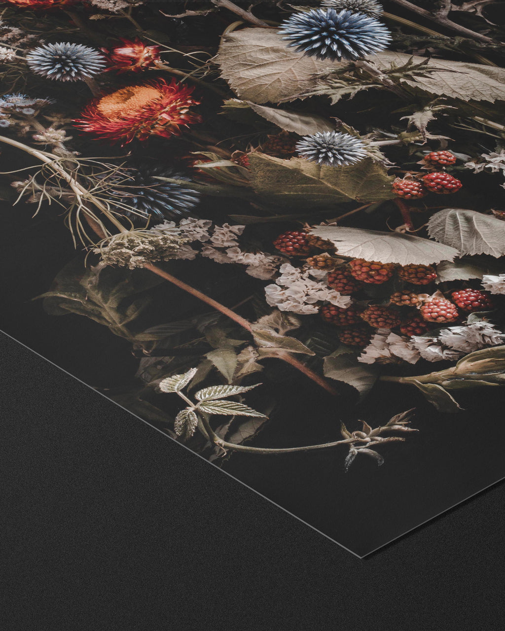 SUMMER'S LAST BREATH - FINE ART PRINTS