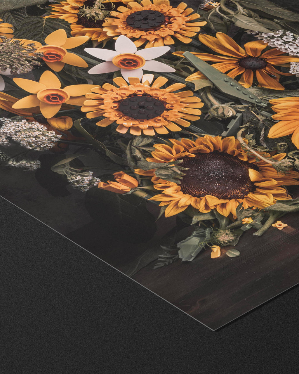 Synthesis - Fine Art Prints