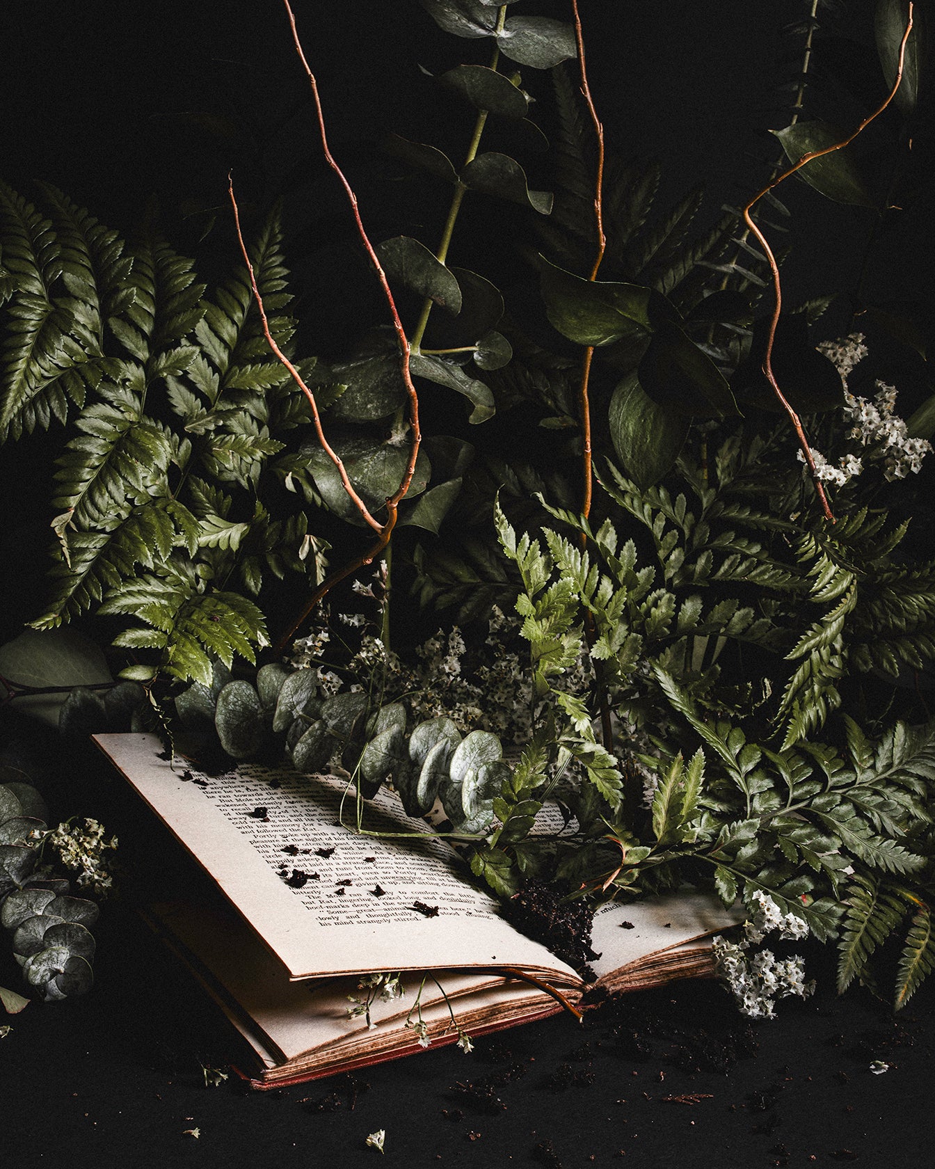 Hinterland Overgrowth - Fine Art Prints