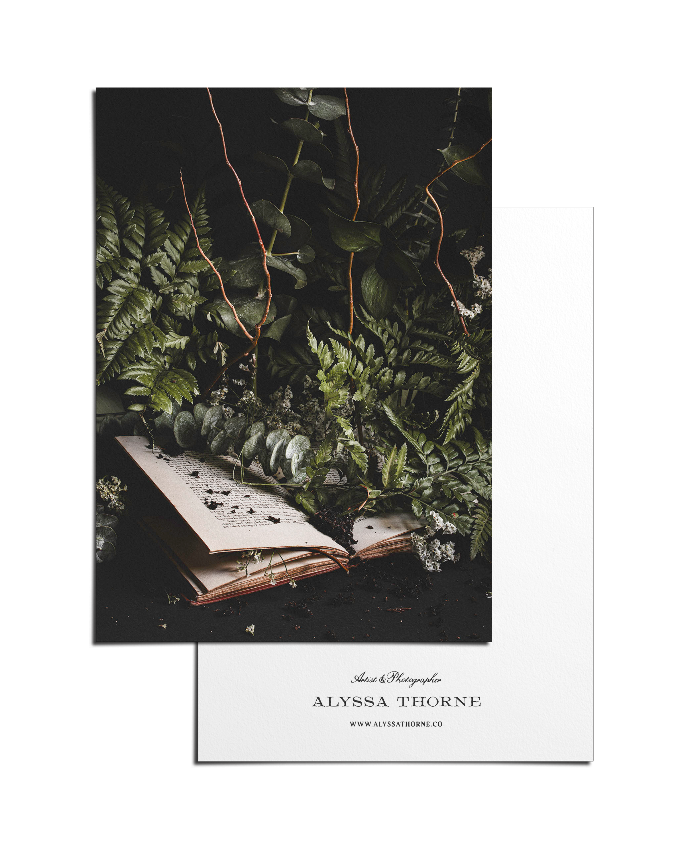 HINTERLAND OVERGROWTH - POSTCARD