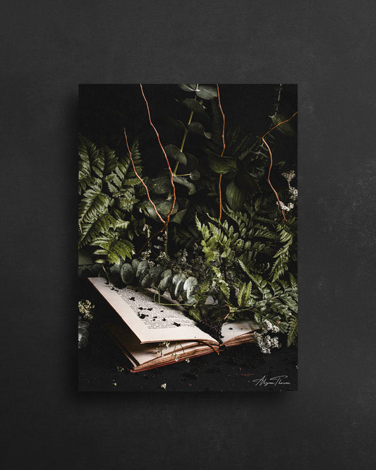 HINTERLAND OVERGROWTH - POSTCARD