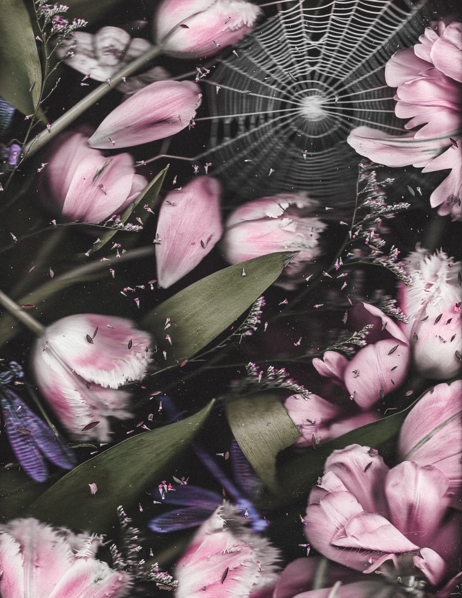 AT THE DOORWAY OF DREAMING - FINE ART PRINTS
