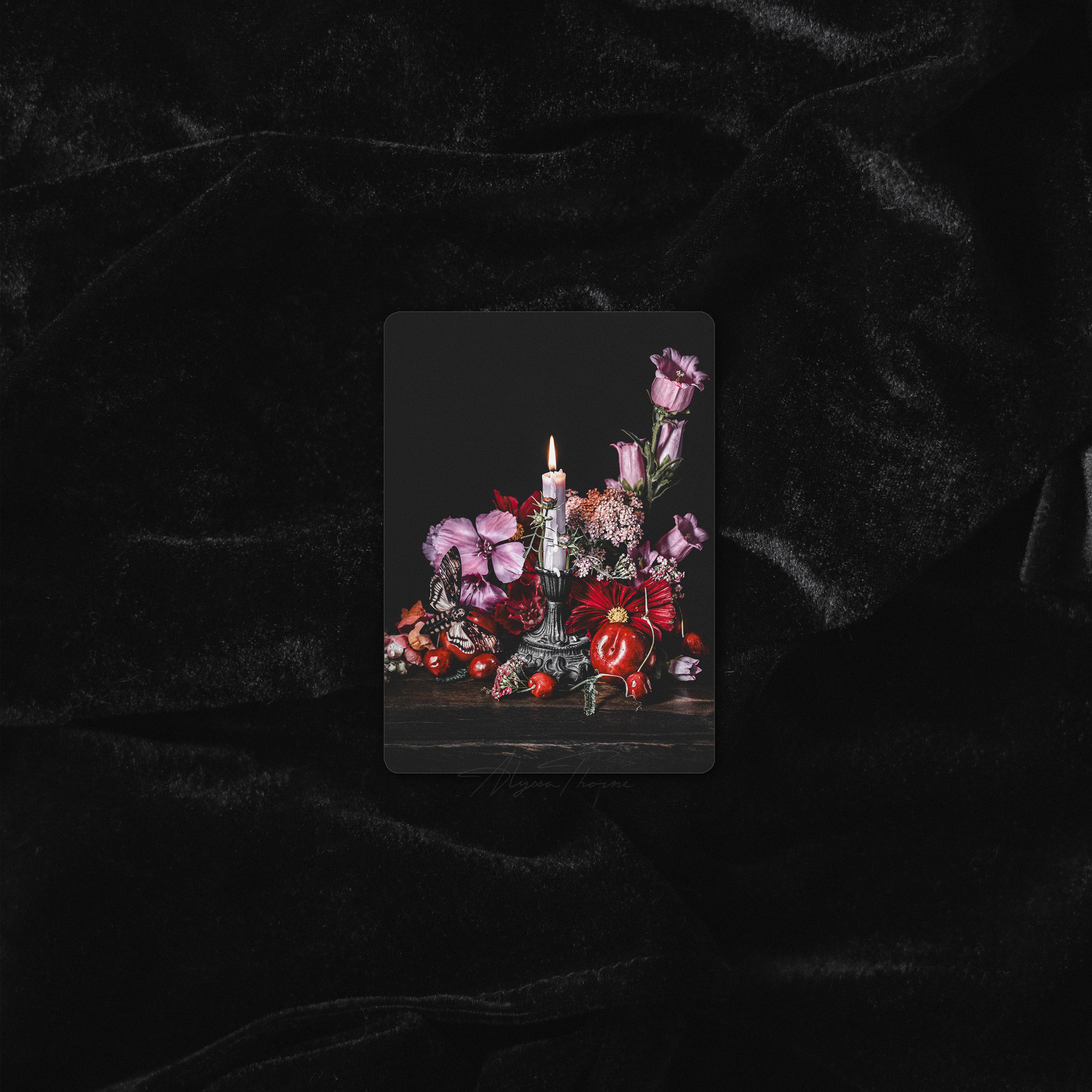 LIKE A MOTH TO A FLAME | TRADING CARD PRINT