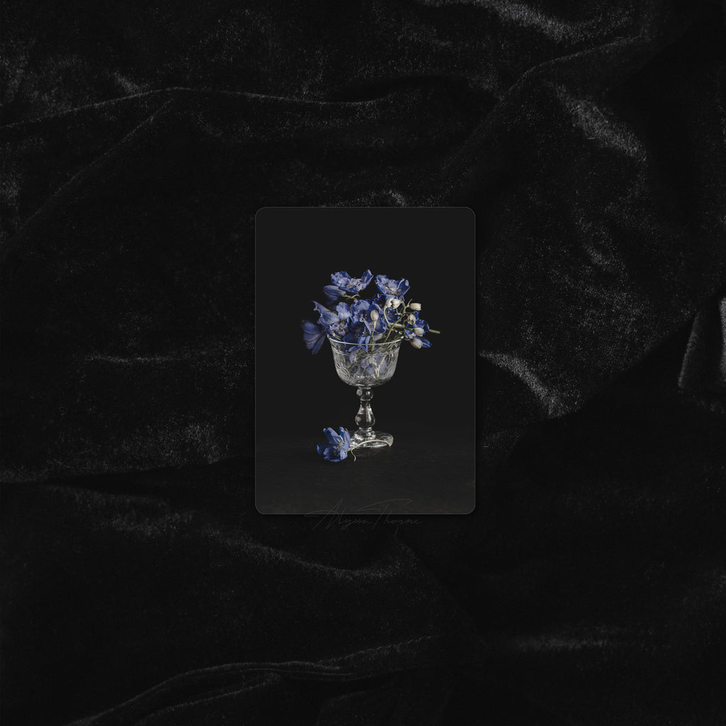 MIDNIGHT GARDEN | TRADING CARD PRINT