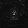MIDNIGHT GARDEN | TRADING CARD PRINT