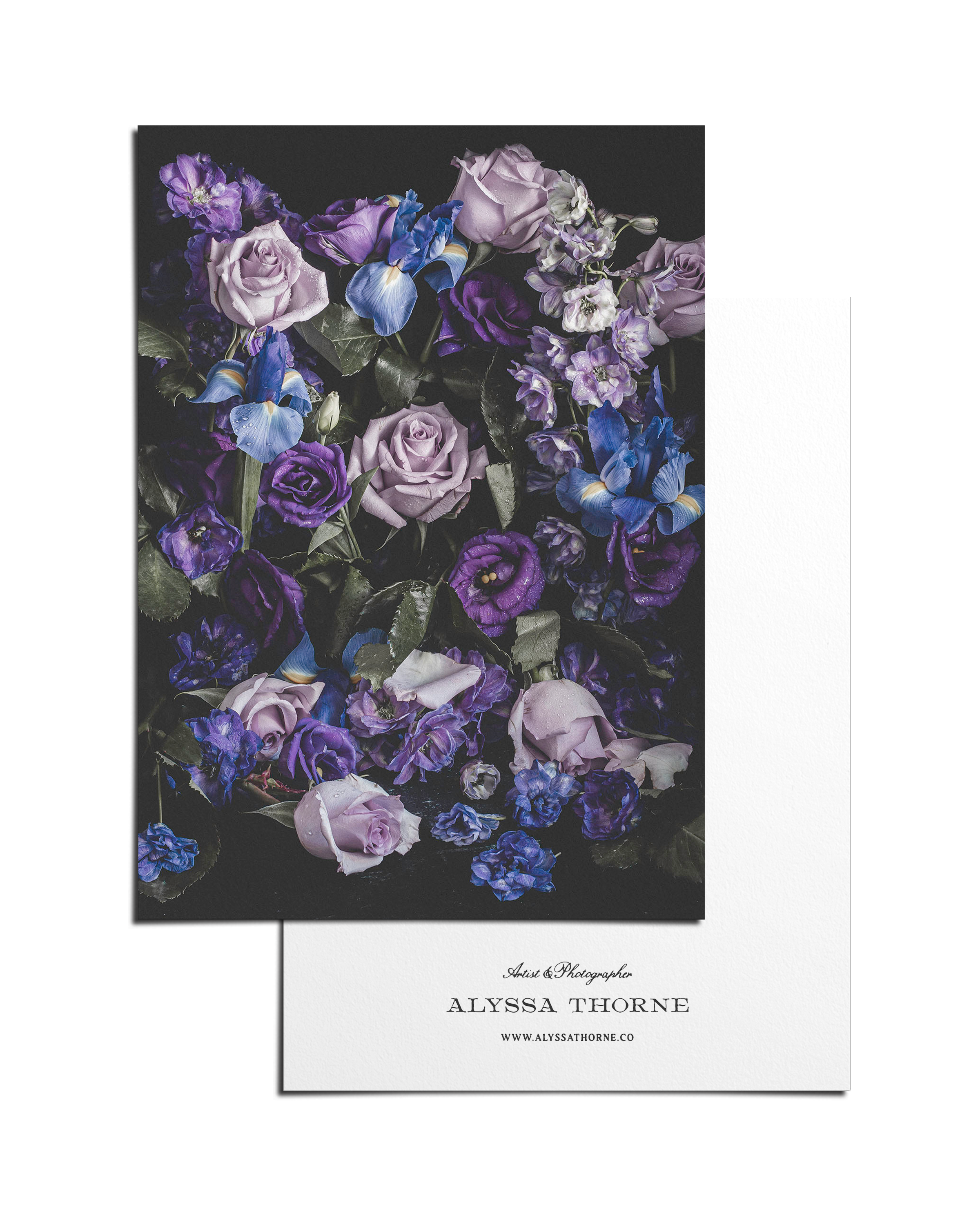 Oasis - 5 X 7 Postcard Print