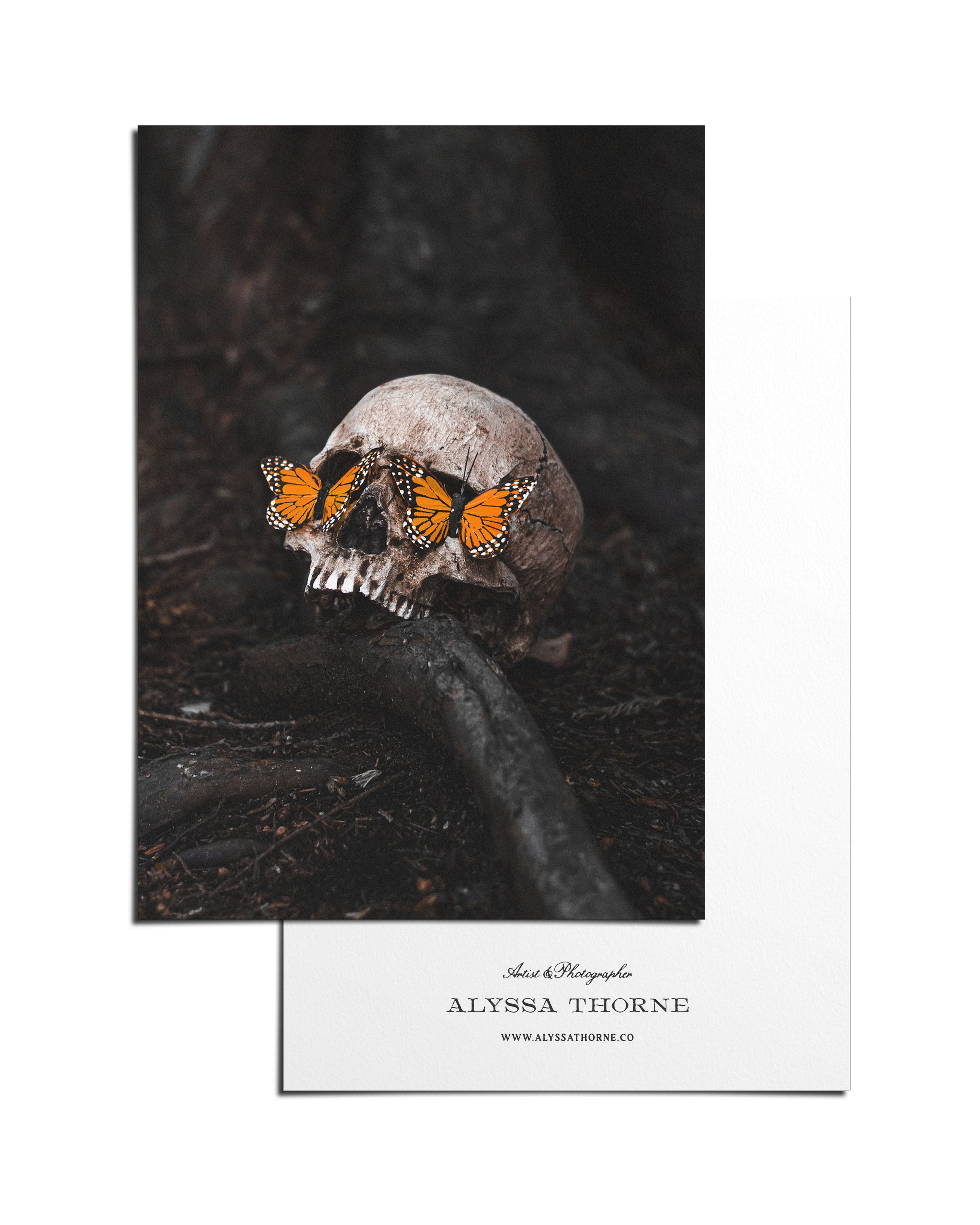 Persephone's Descent - 5 X 7 Postcard