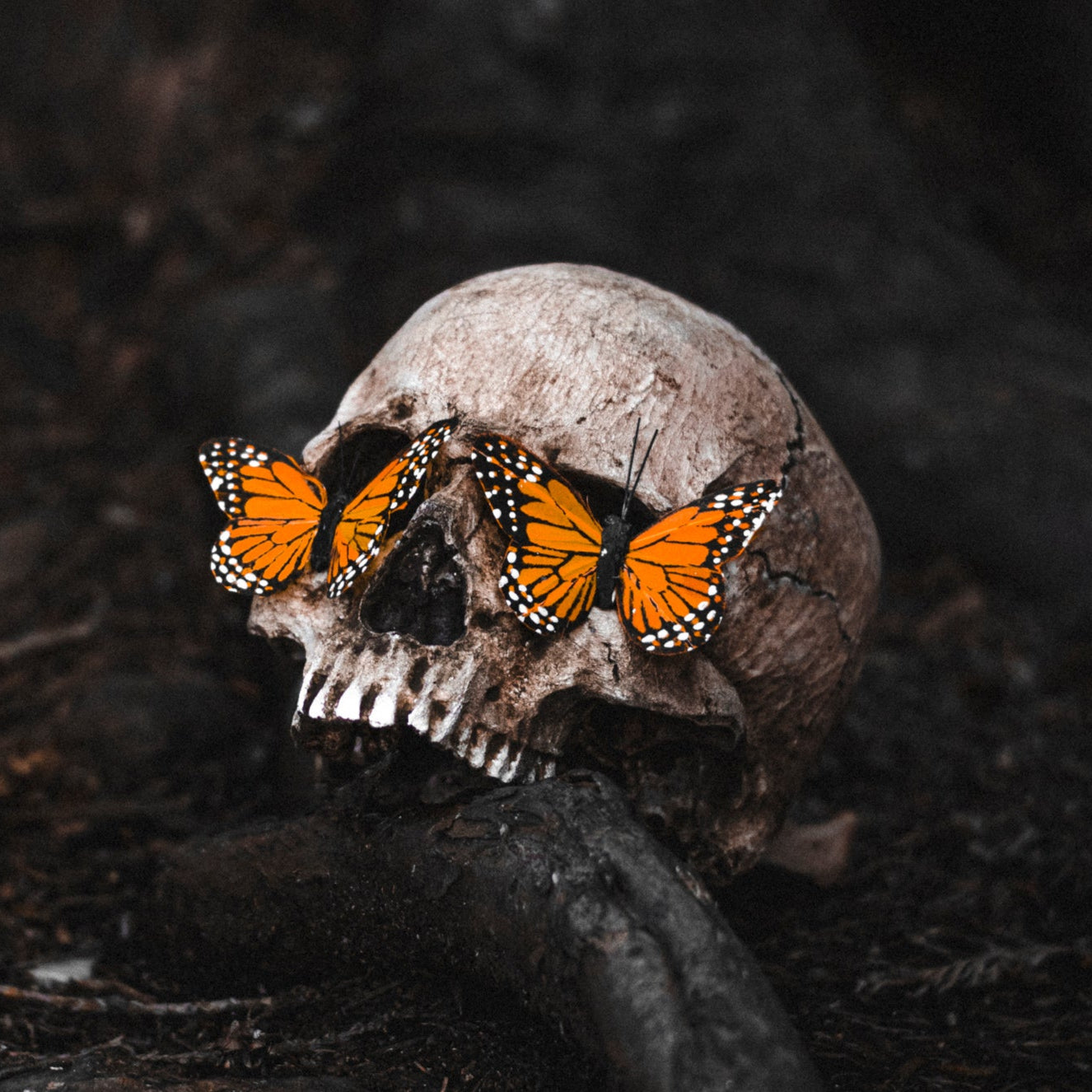 PERSEPHONE'S DESCENT - FINE ART PRINTS