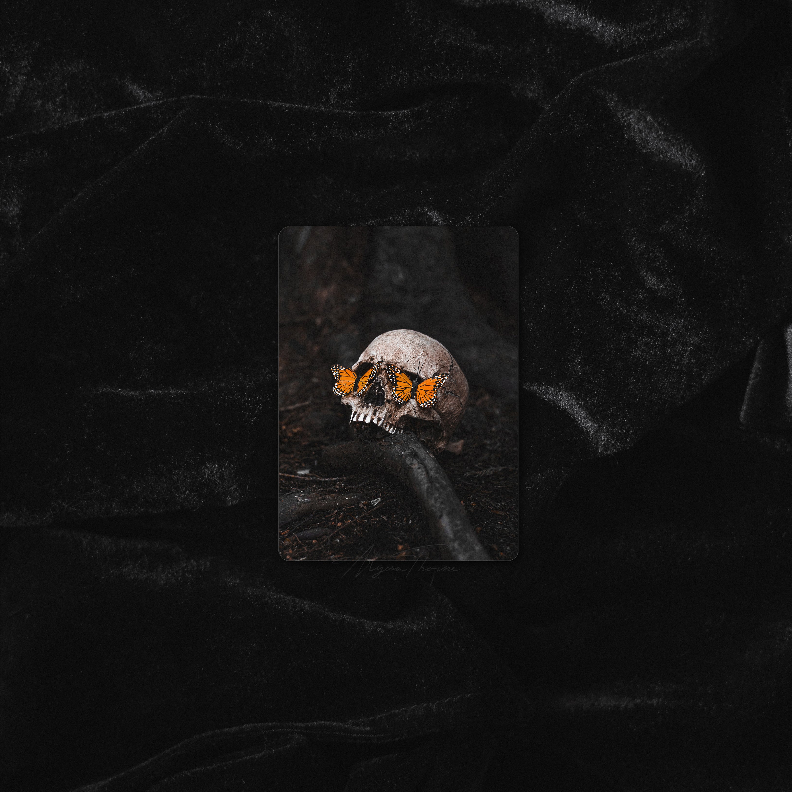 PERSEPHONE'S DESCENT | TRADING CARD PRINT