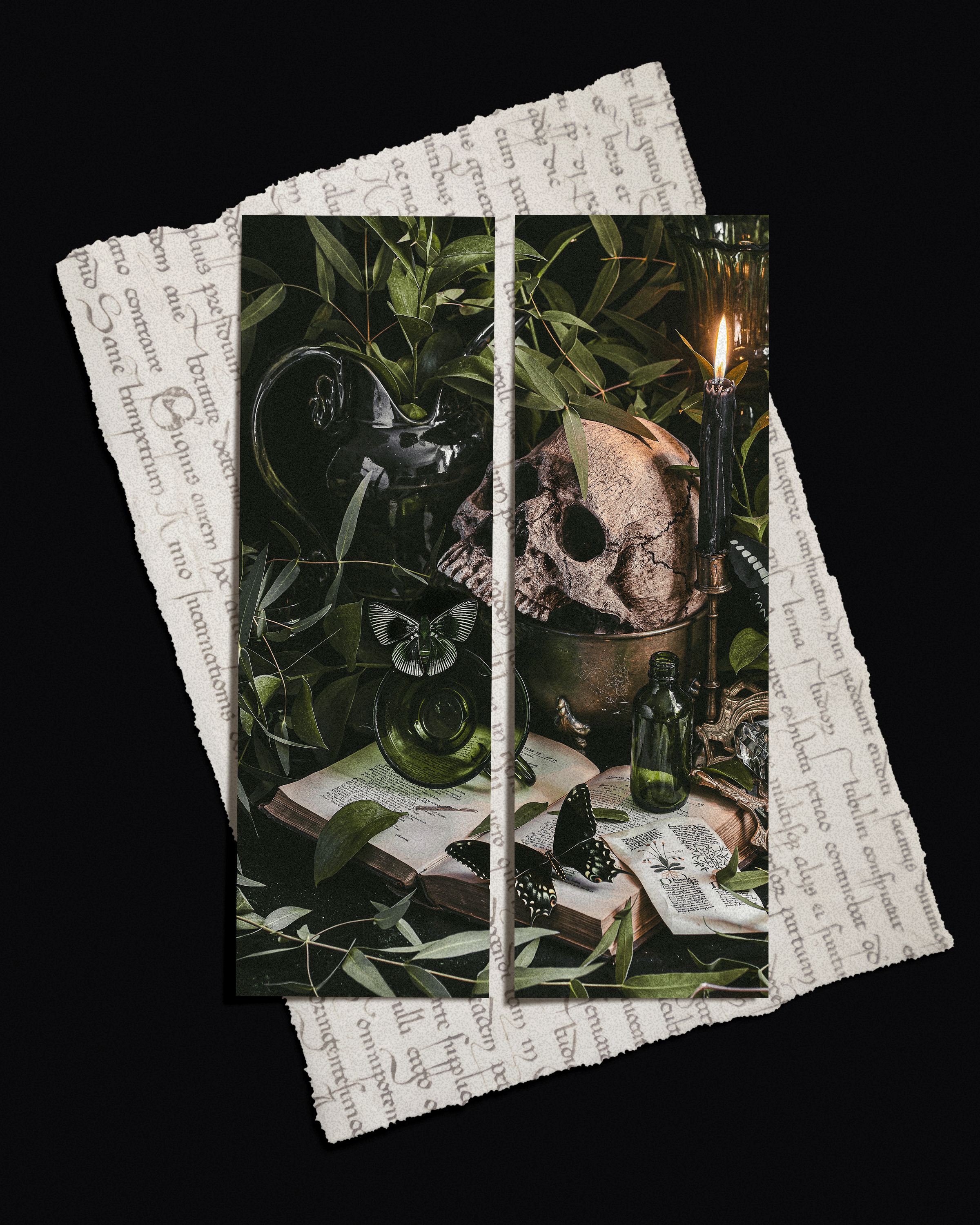 POISON STUDY – PICTURE BOOKMARKS - SET OF 2