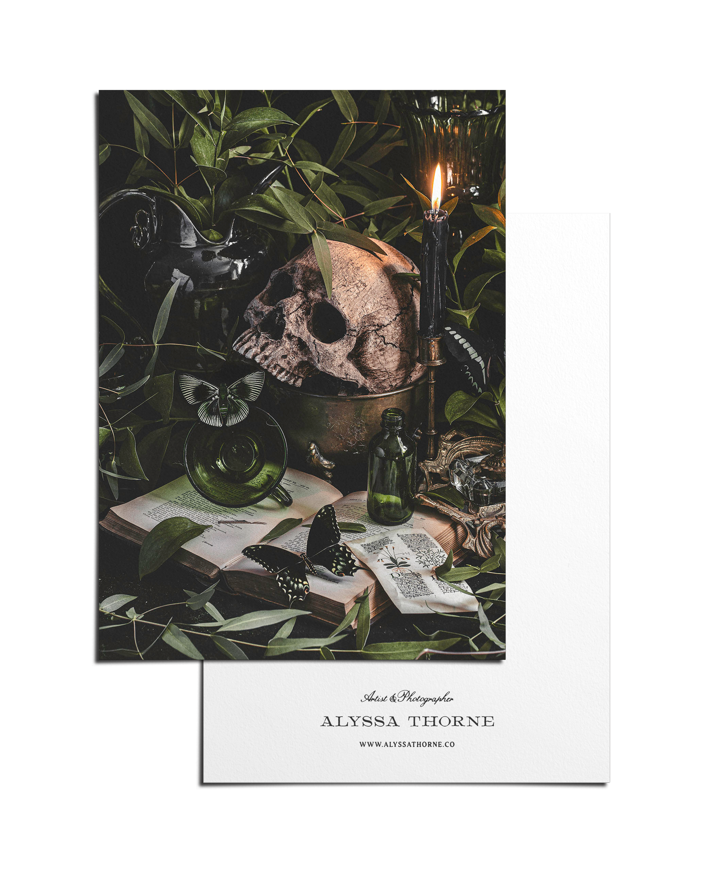 POISON STUDY  - POSTCARD