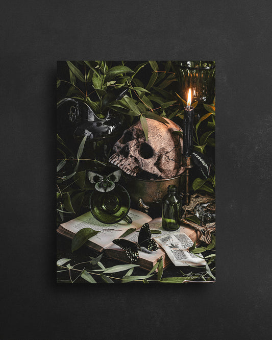 POISON STUDY  - POSTCARD