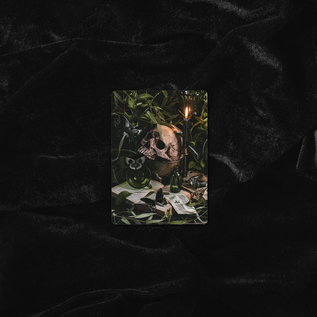POISON STUDY | TRADING CARD PRINT