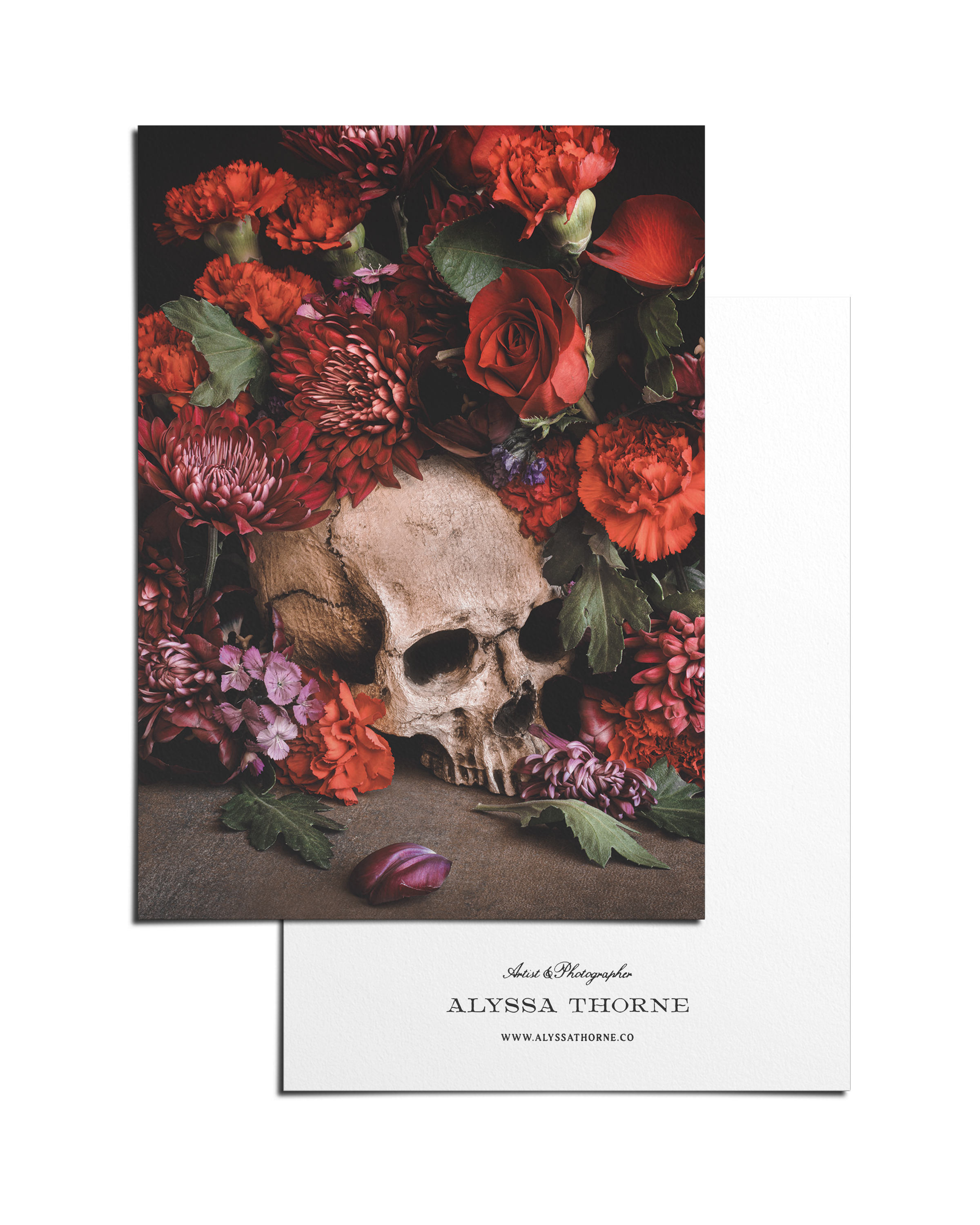SUNSET IN DEATH'S GARDEN - POSTCARD