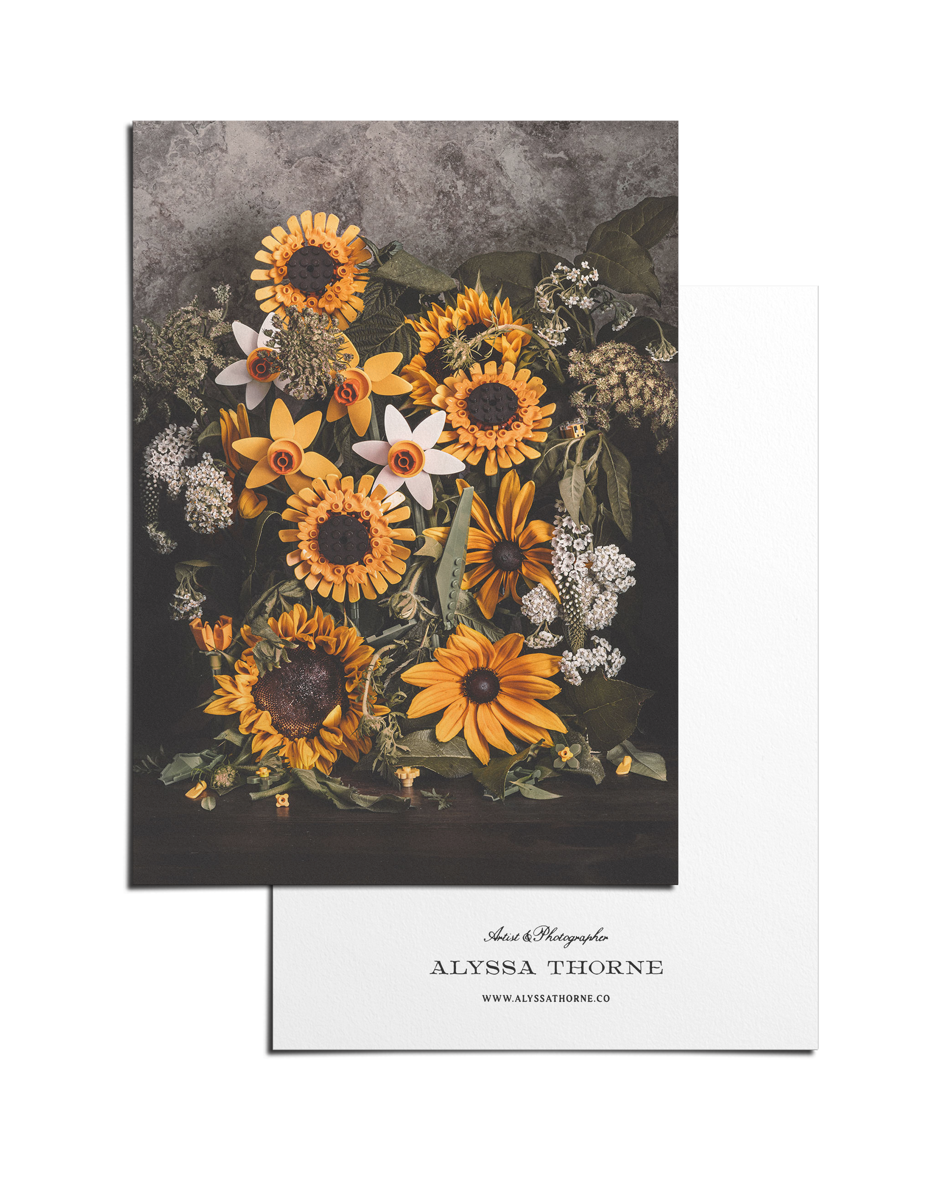 Synthesis - 5 X 7 Postcard Print – Alyssa Thorne