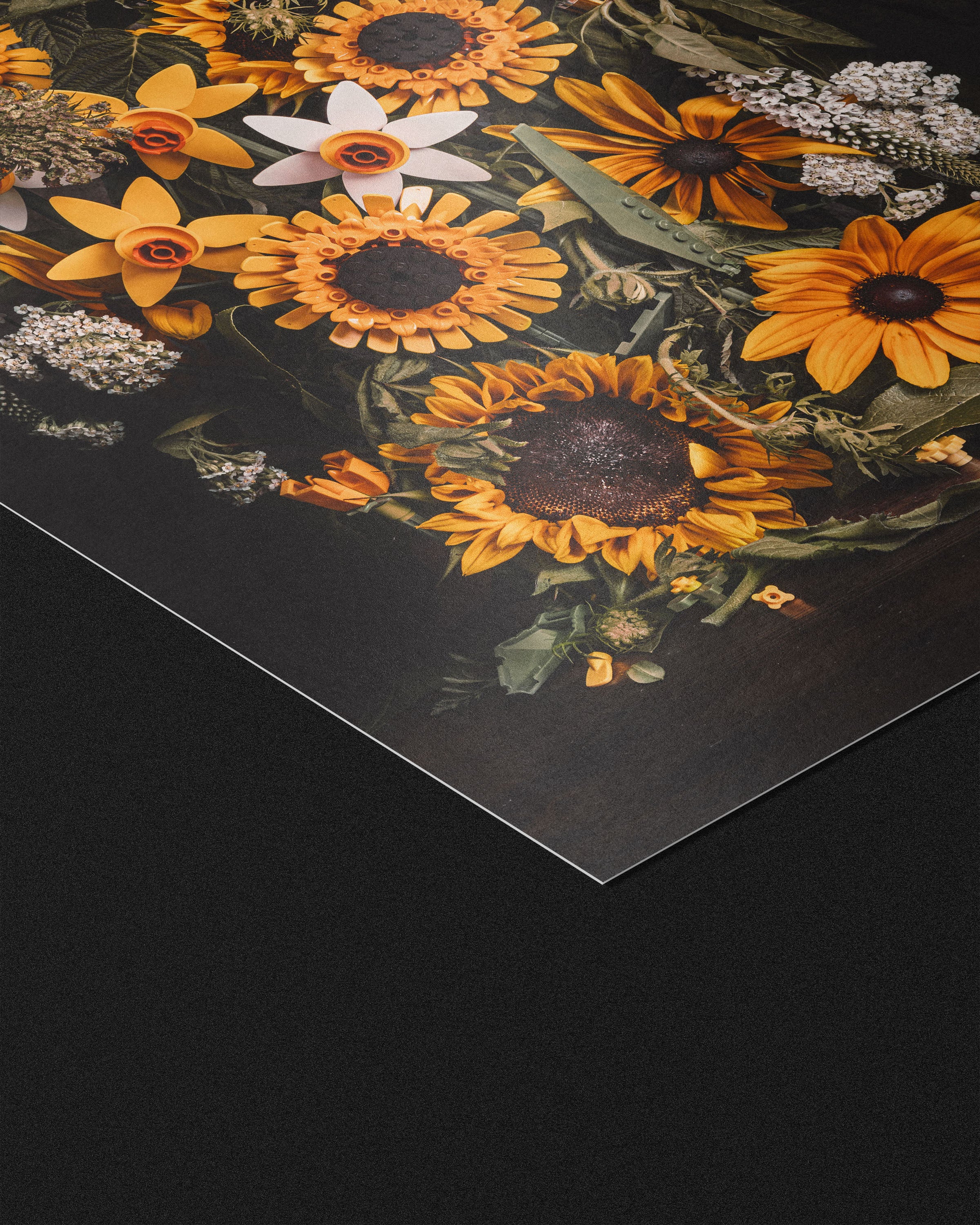 Synthesis - Fine Art Prints