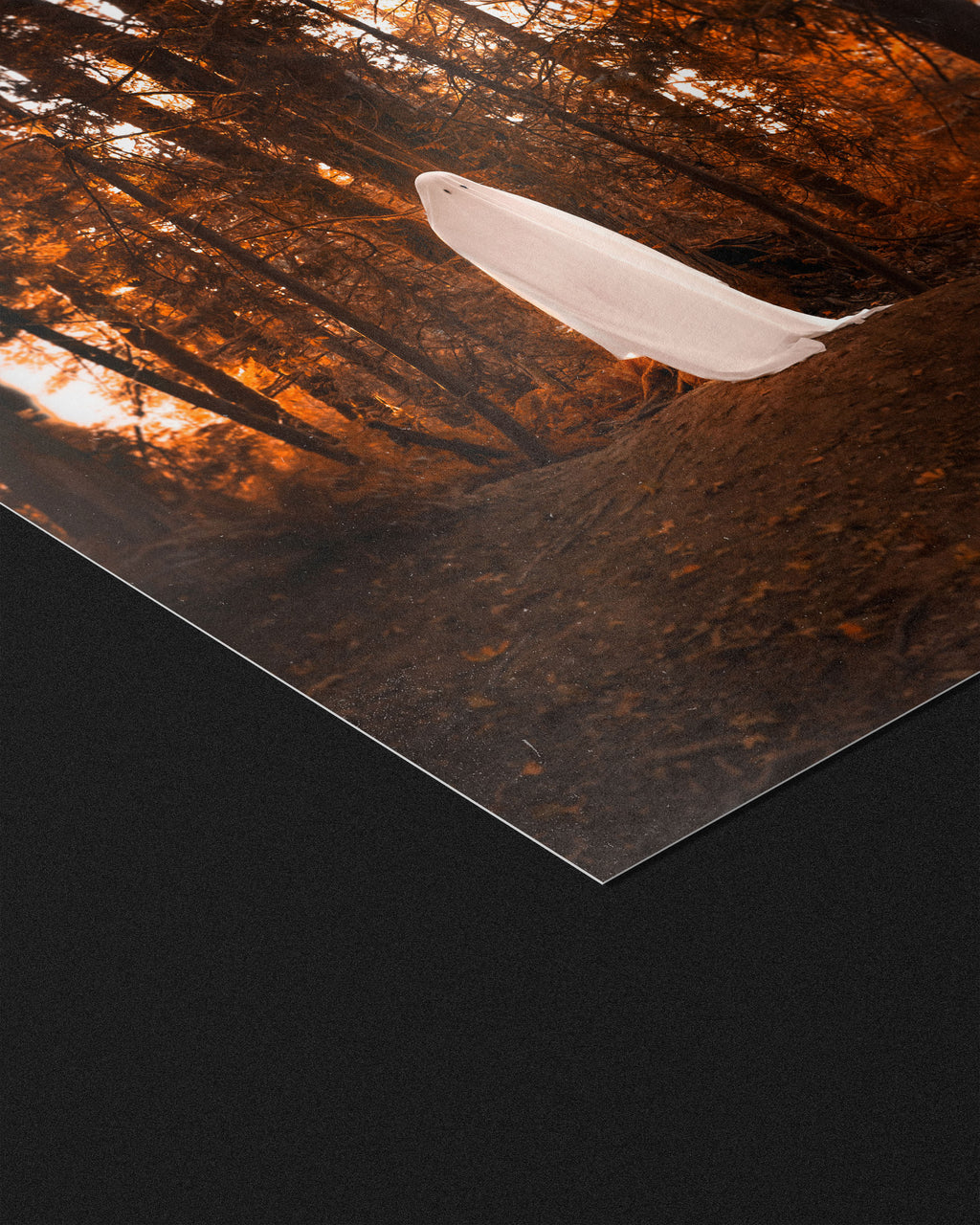 The Ghost Of You - Fine Art Prints