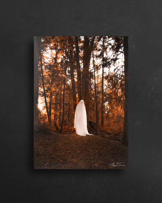 The Ghost Of You - 5 X 7 Postcard