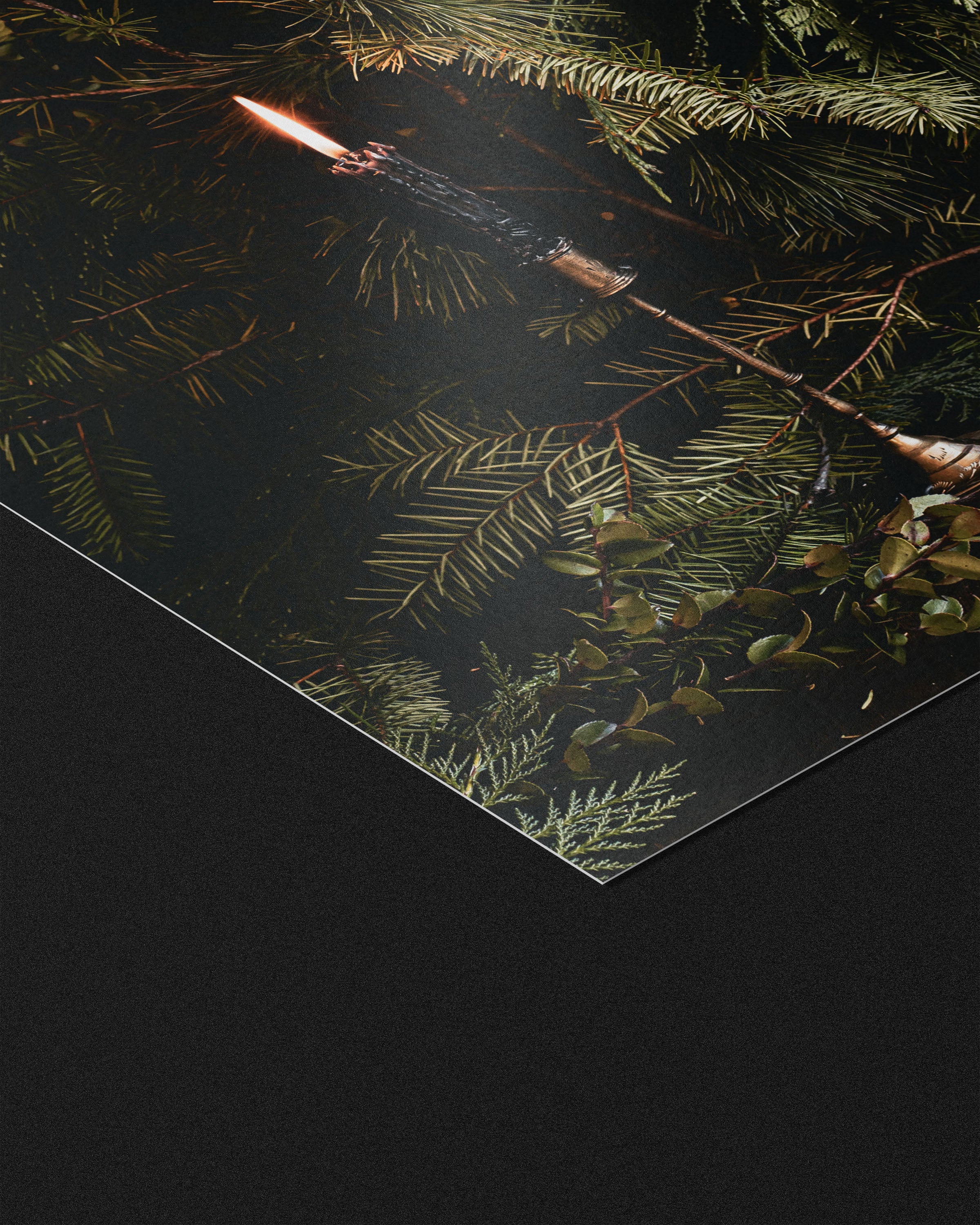 THE LONGEST YEAR - FINE ART PRINTS
