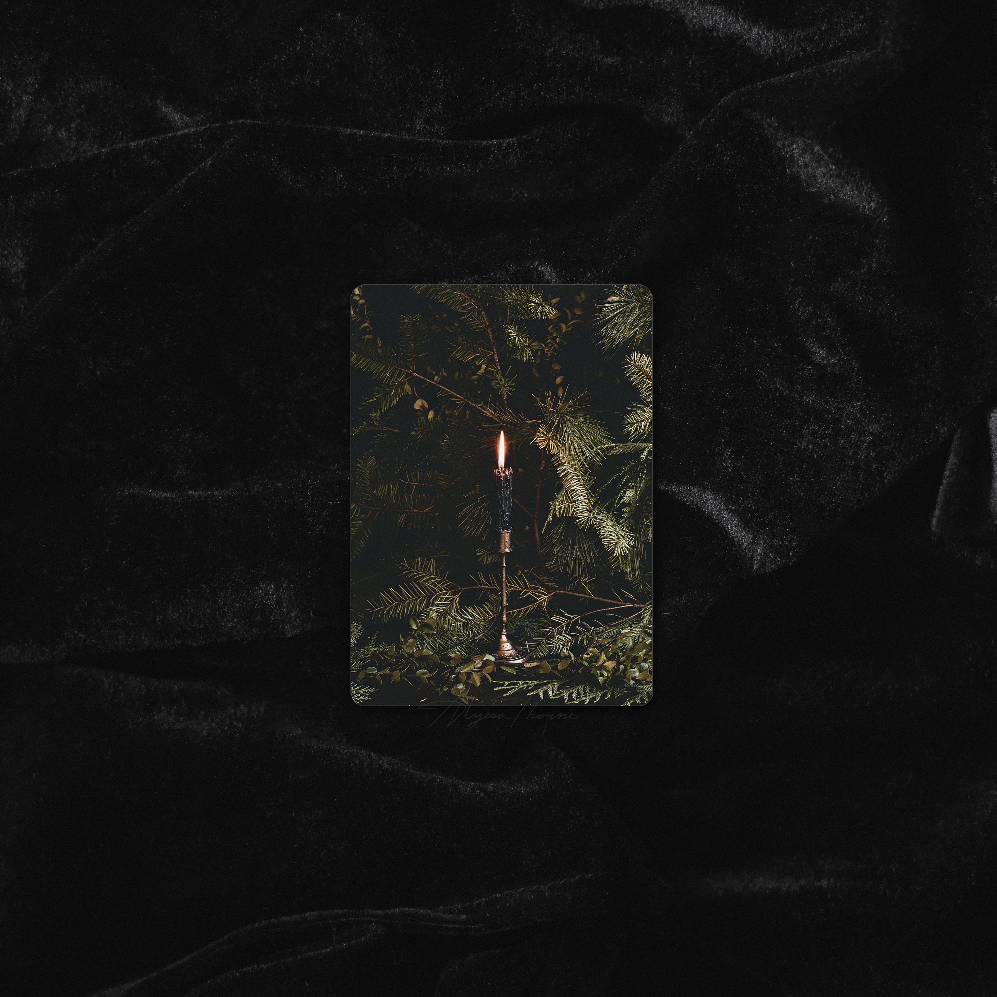 THE LONGEST YEAR | TRADING CARD PRINT