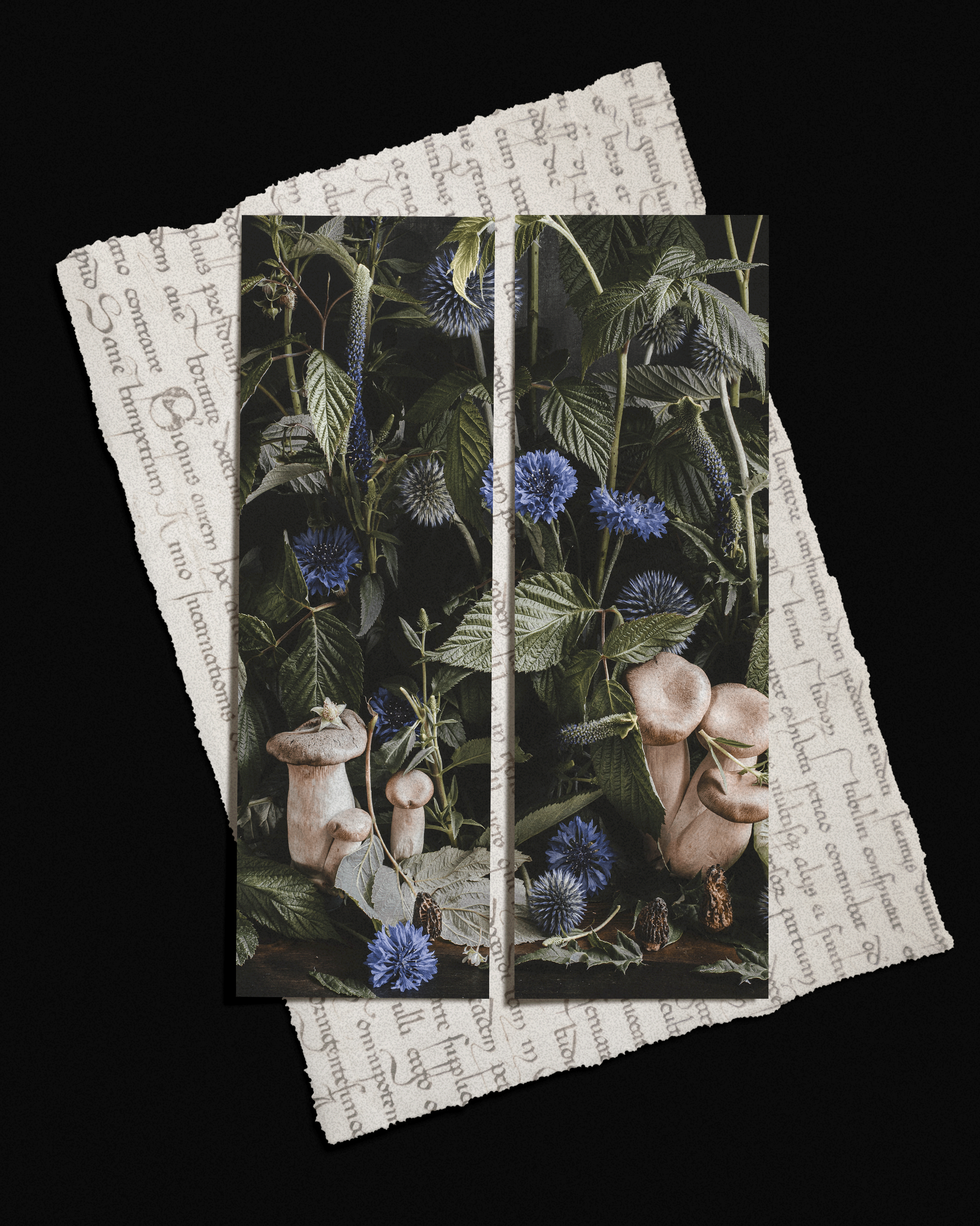 UNDERGROWTH – PICTURE BOOKMARKS - SET OF 2