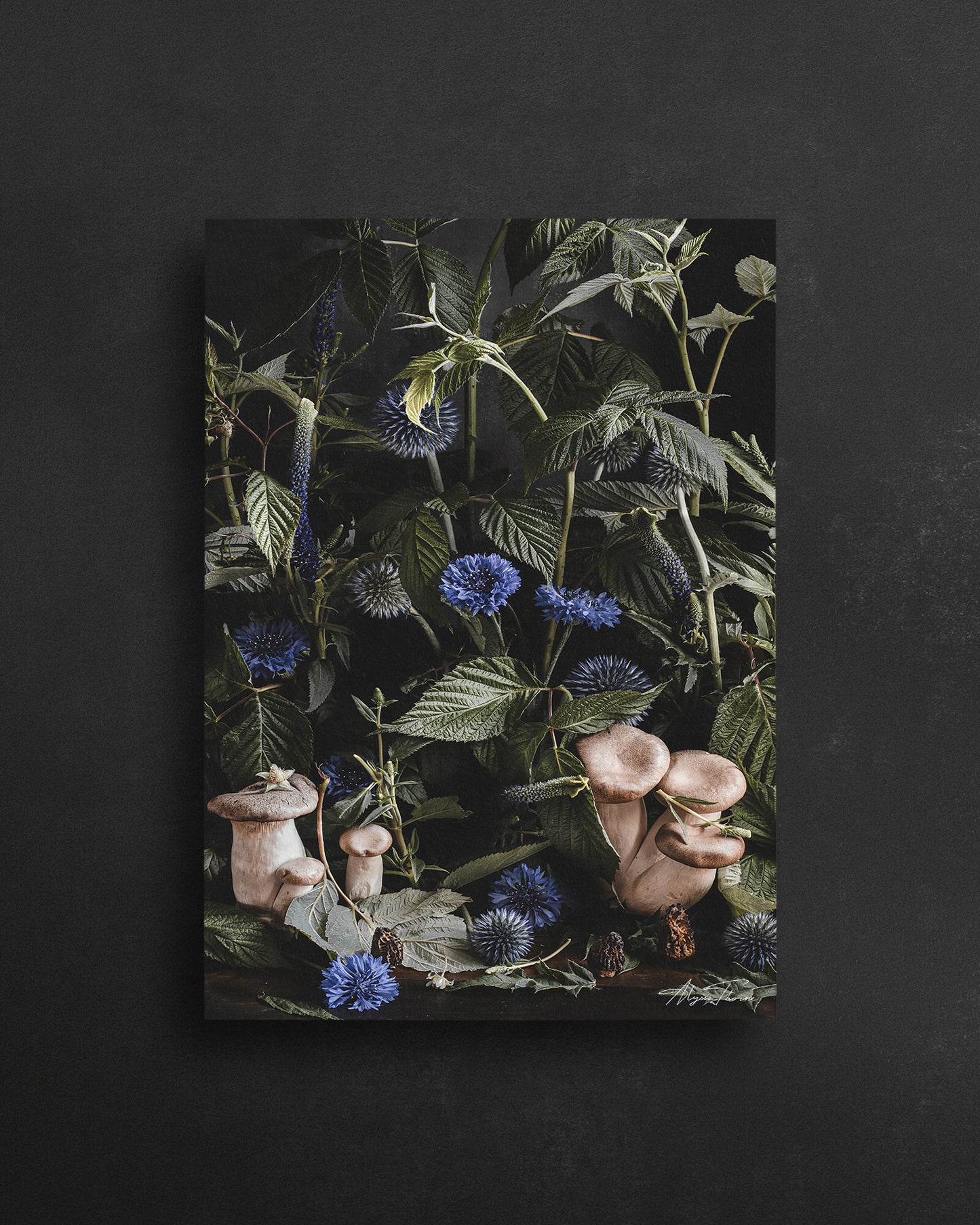 UNDERGROWTH - POSTCARD