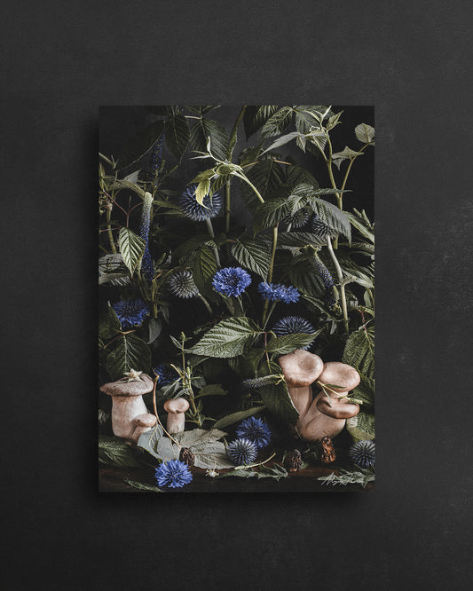 UNDERGROWTH - POSTCARD