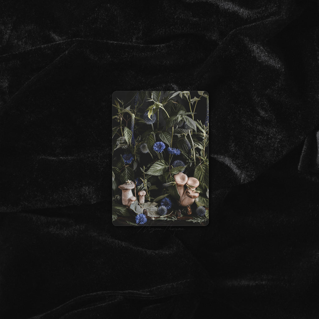 UNDERGROWTH | TRADING CARD PRINT