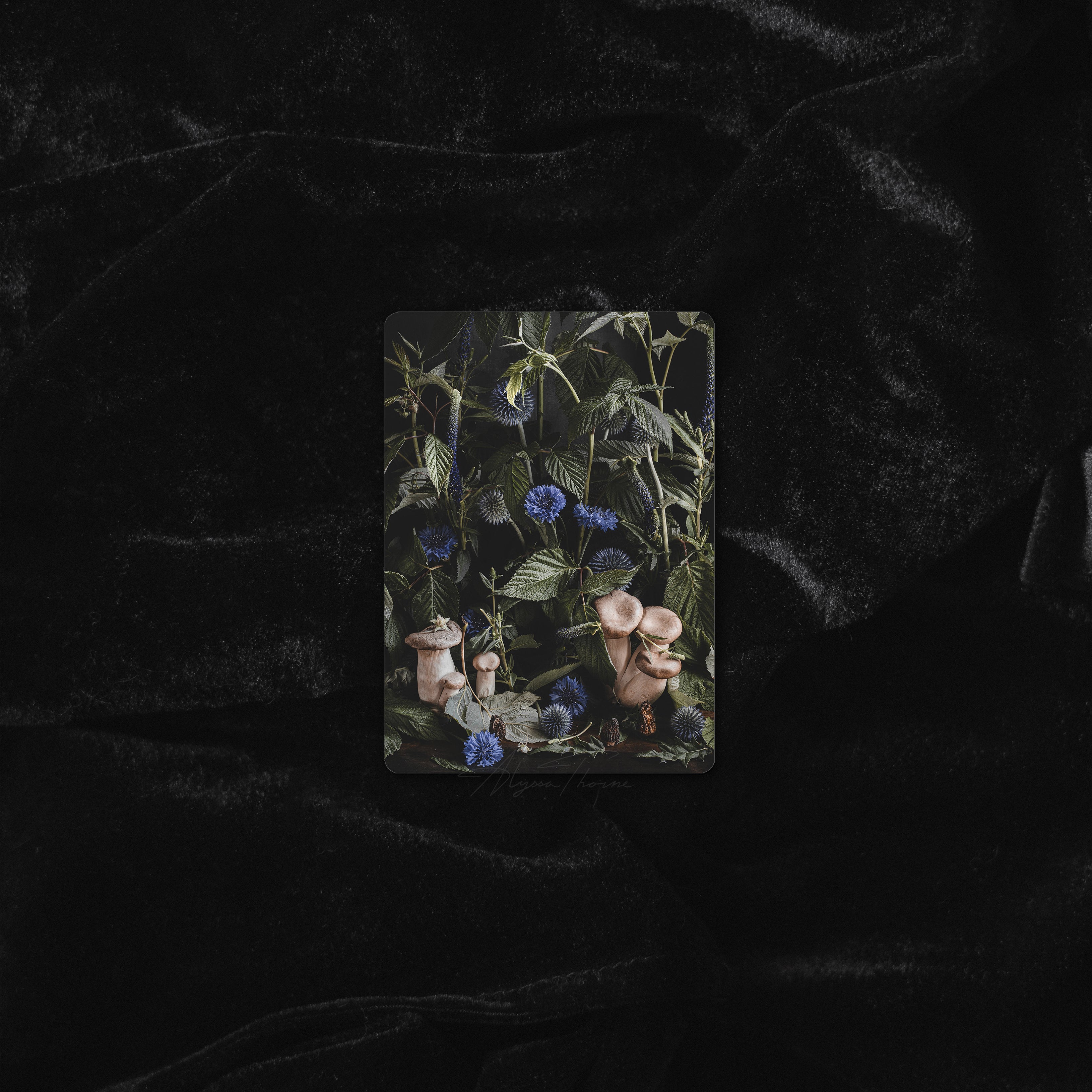 UNDERGROWTH | TRADING CARD PRINT