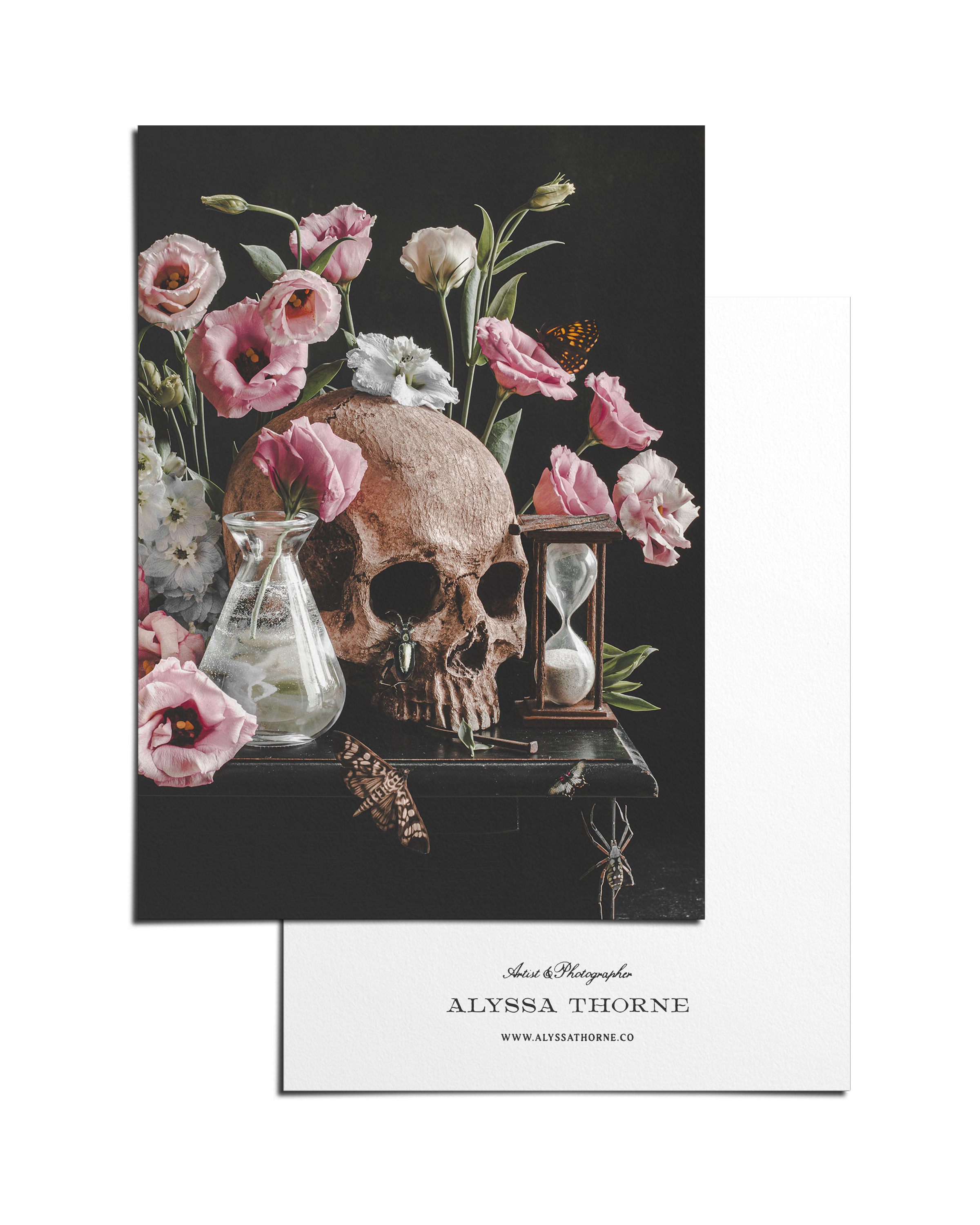 VANITAS I - POSTCARD