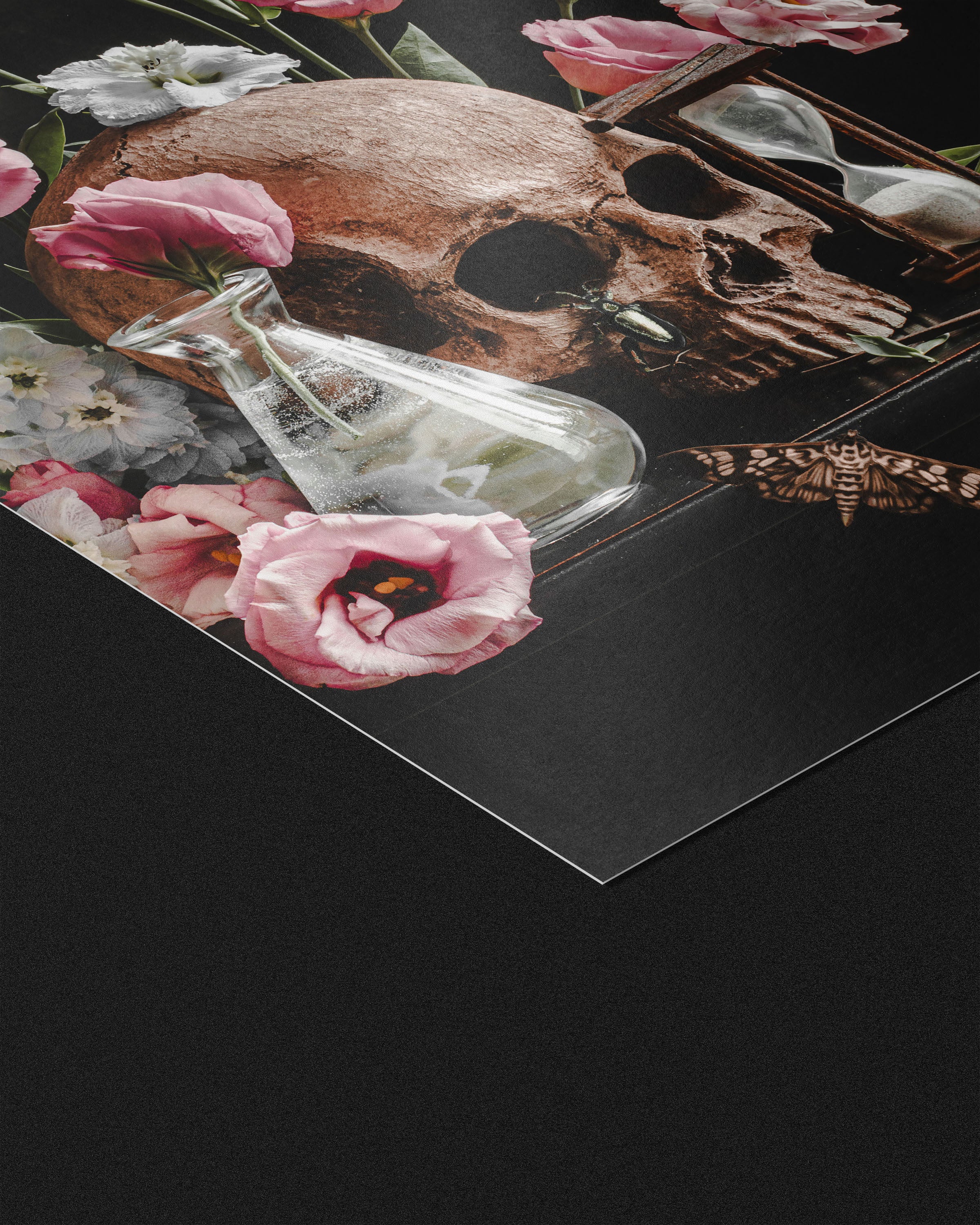 Vanitas I - Fine Art Prints