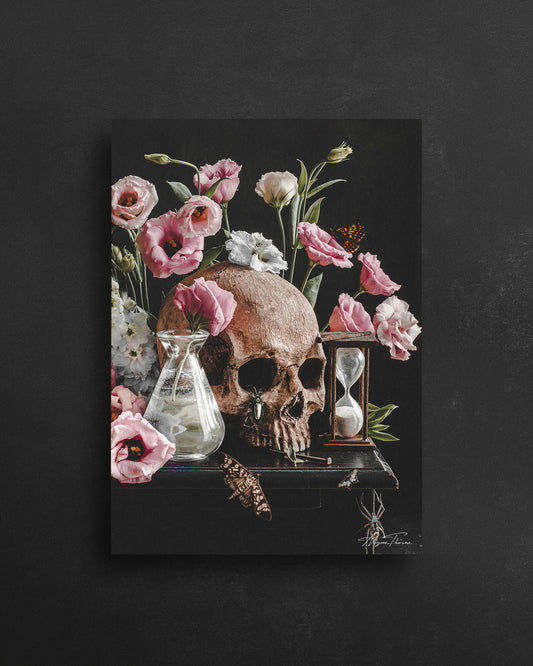 VANITAS I - POSTCARD