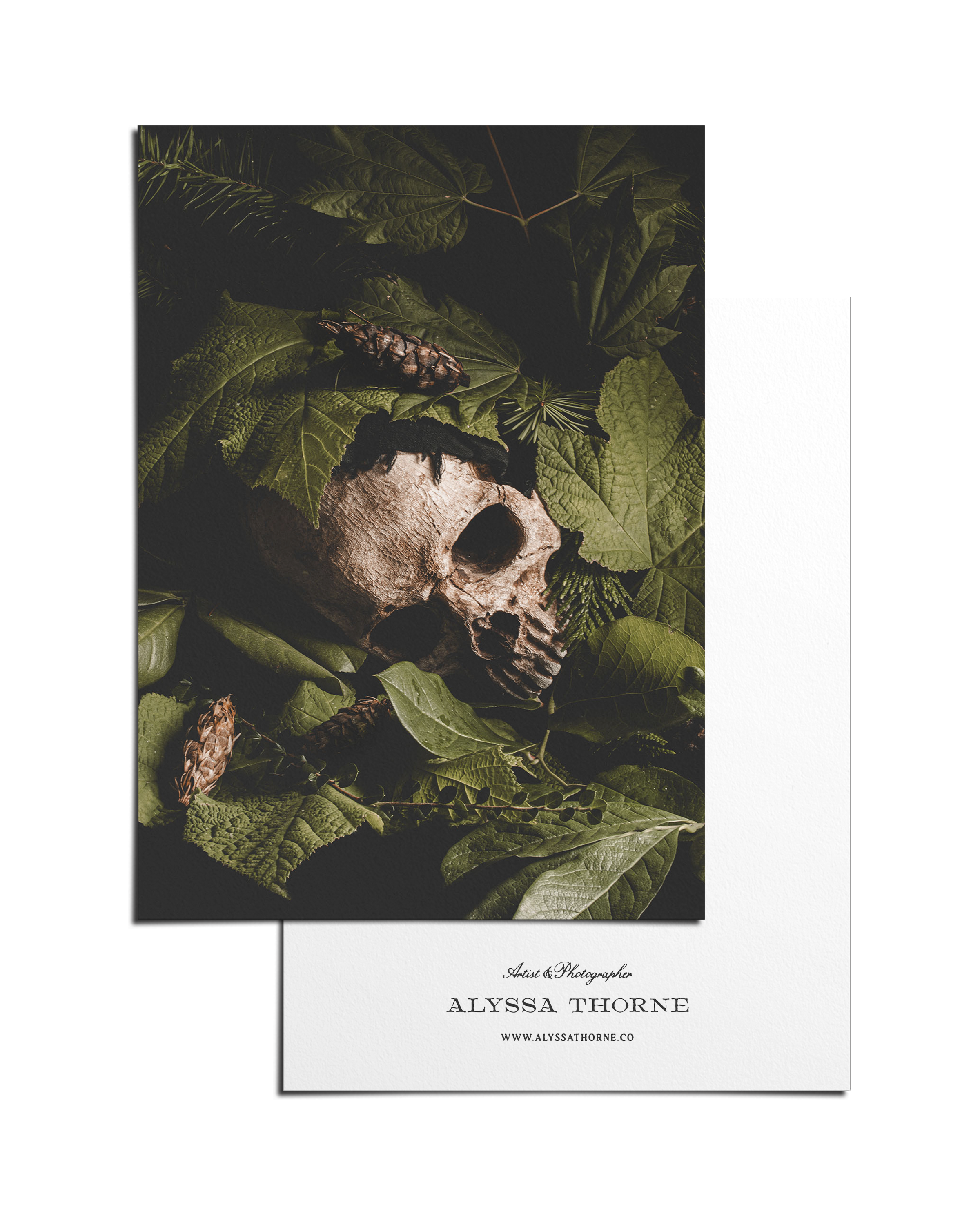 VERDANT REPOSE - POSTCARD